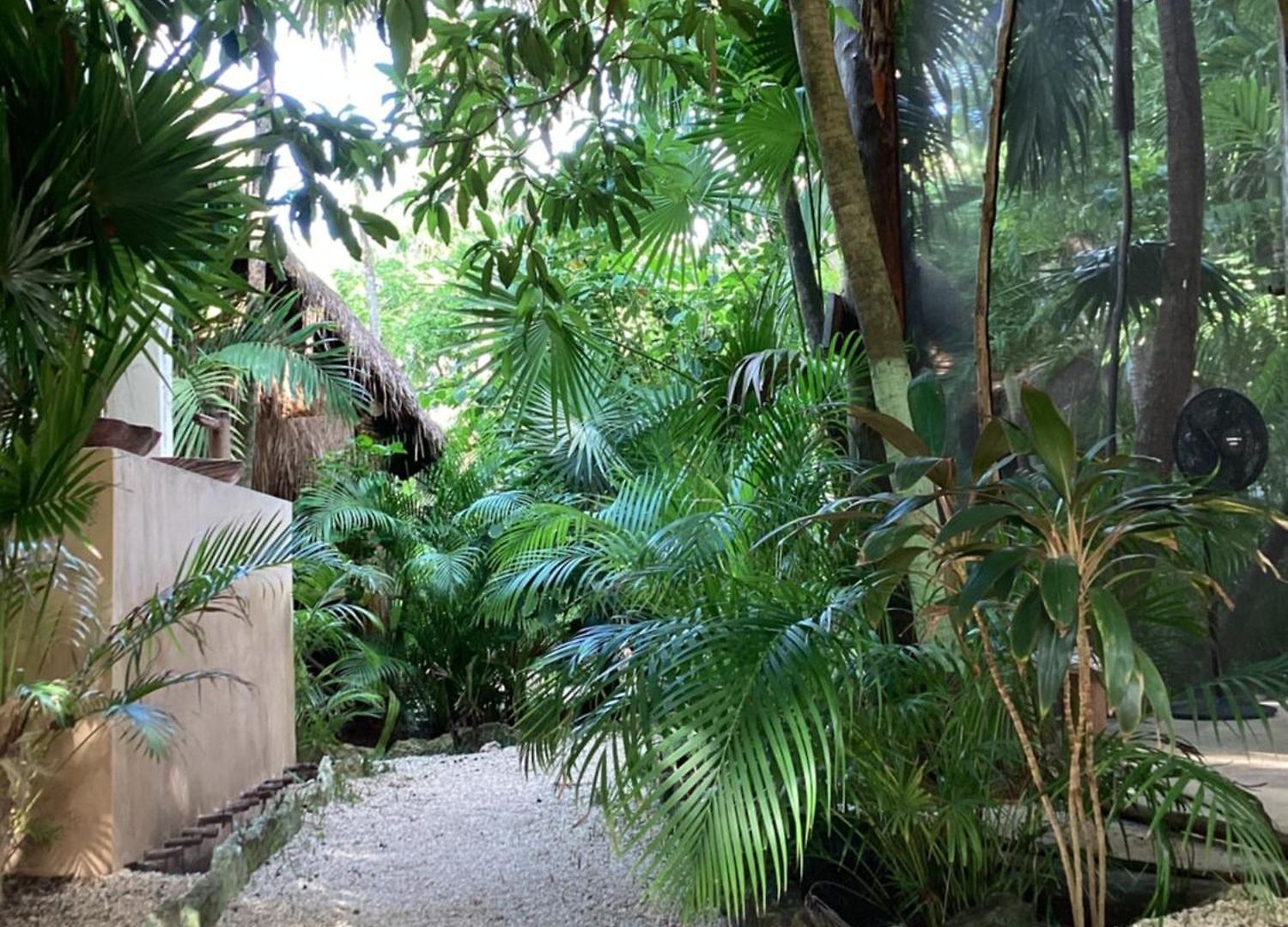 Lodge Yaxchen Cabañas&cenote Tulum