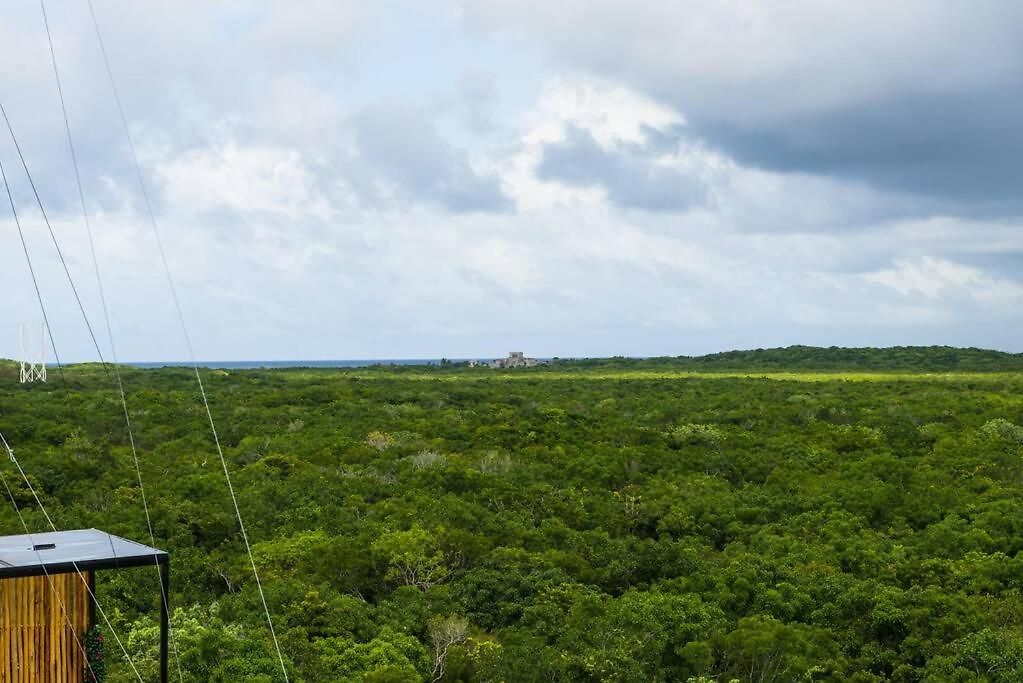 Apartment Designer Penthouse - Rooftop Pool & Jungle View Tulum