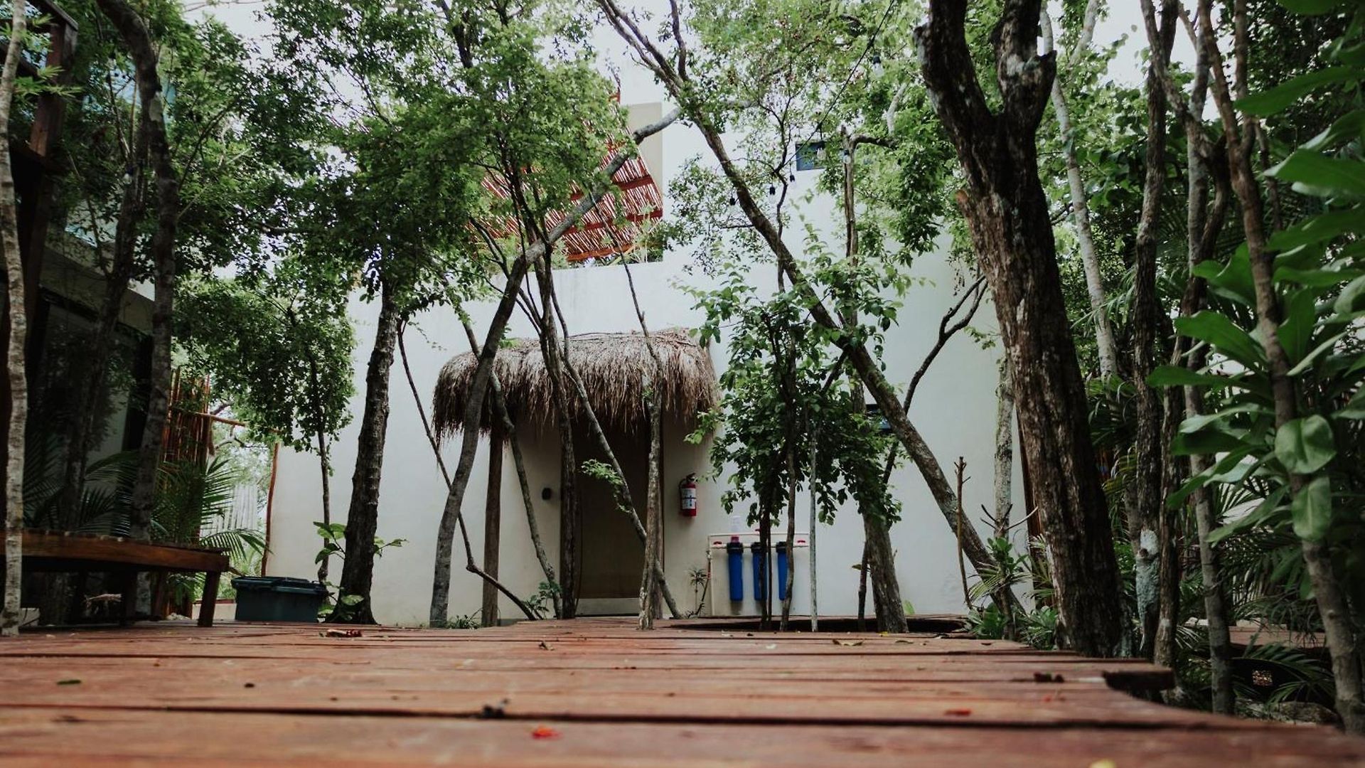 The Village K'aax Villa