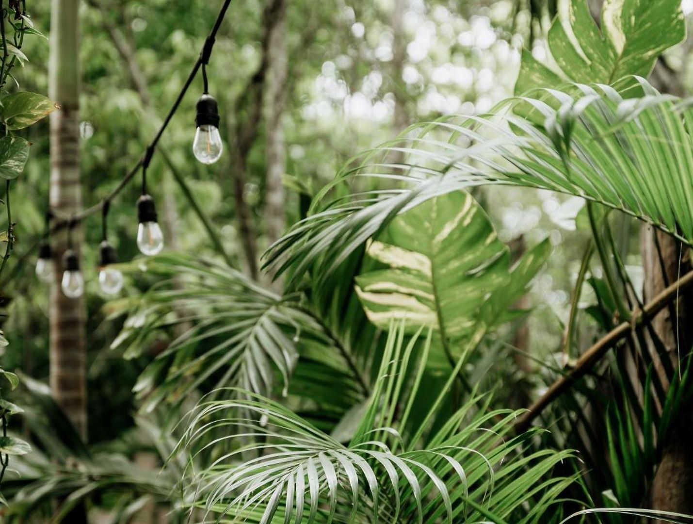 Jungle Boho Coco - Pv Pool - Bbq - Concierge 5a *