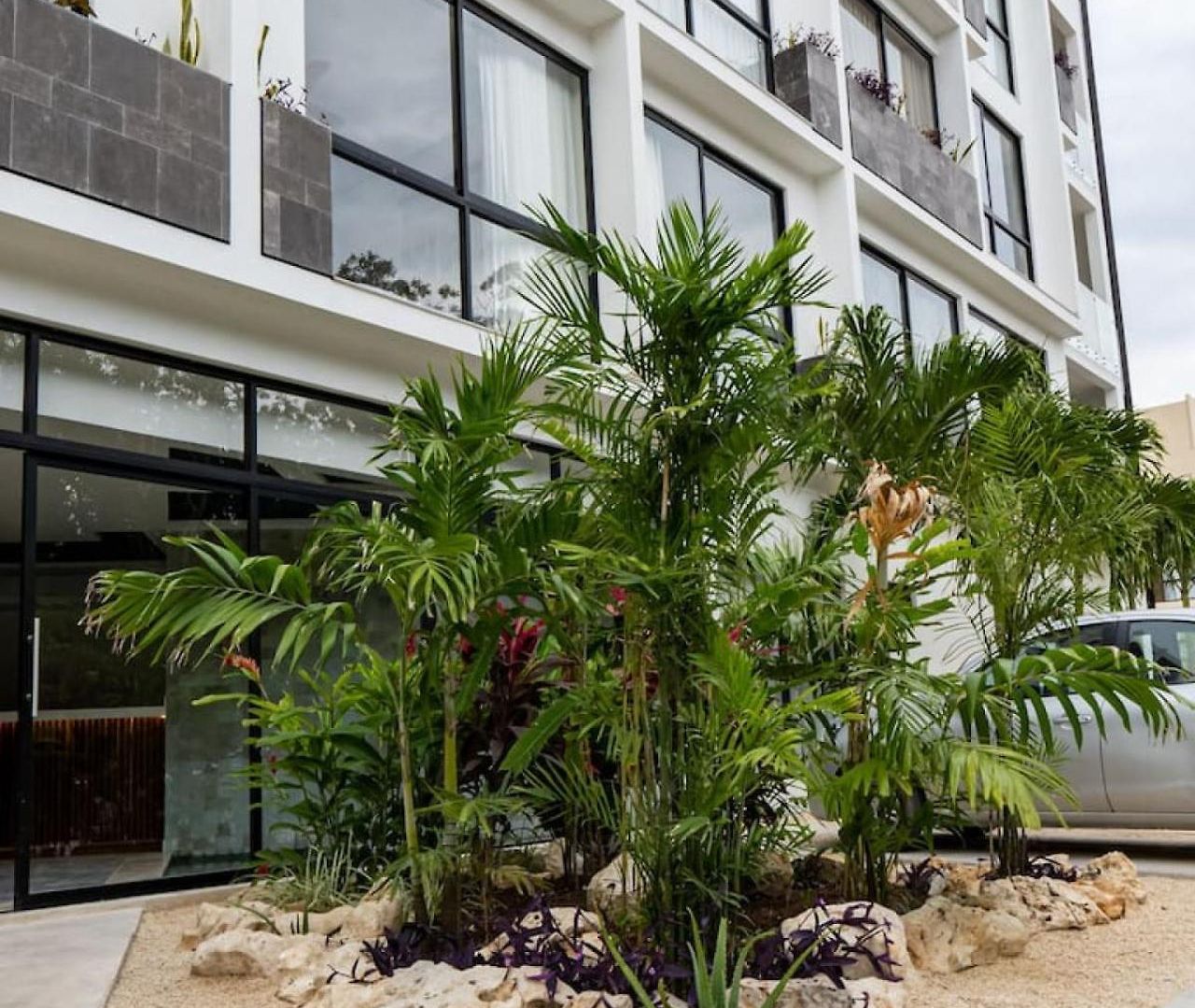 Bora Near & Town Free Club Tulum