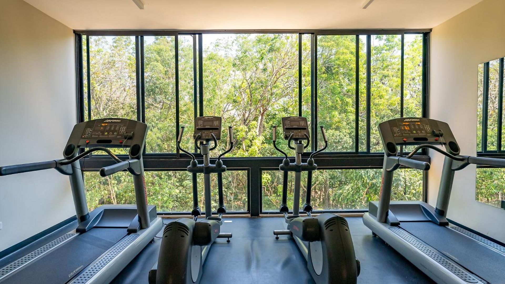 Luxury Gym Jacuzzi Wifi Starlink Apartment Tulum