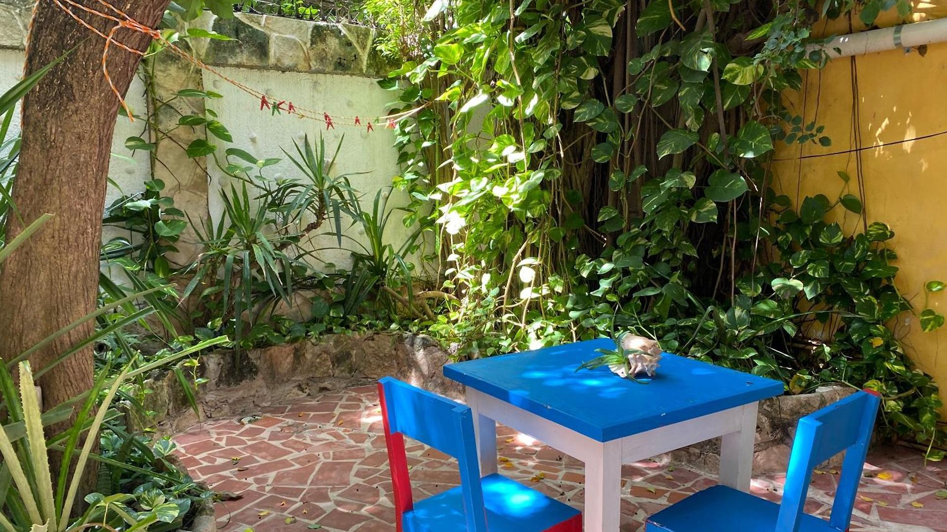 Maison Hotel 3*
