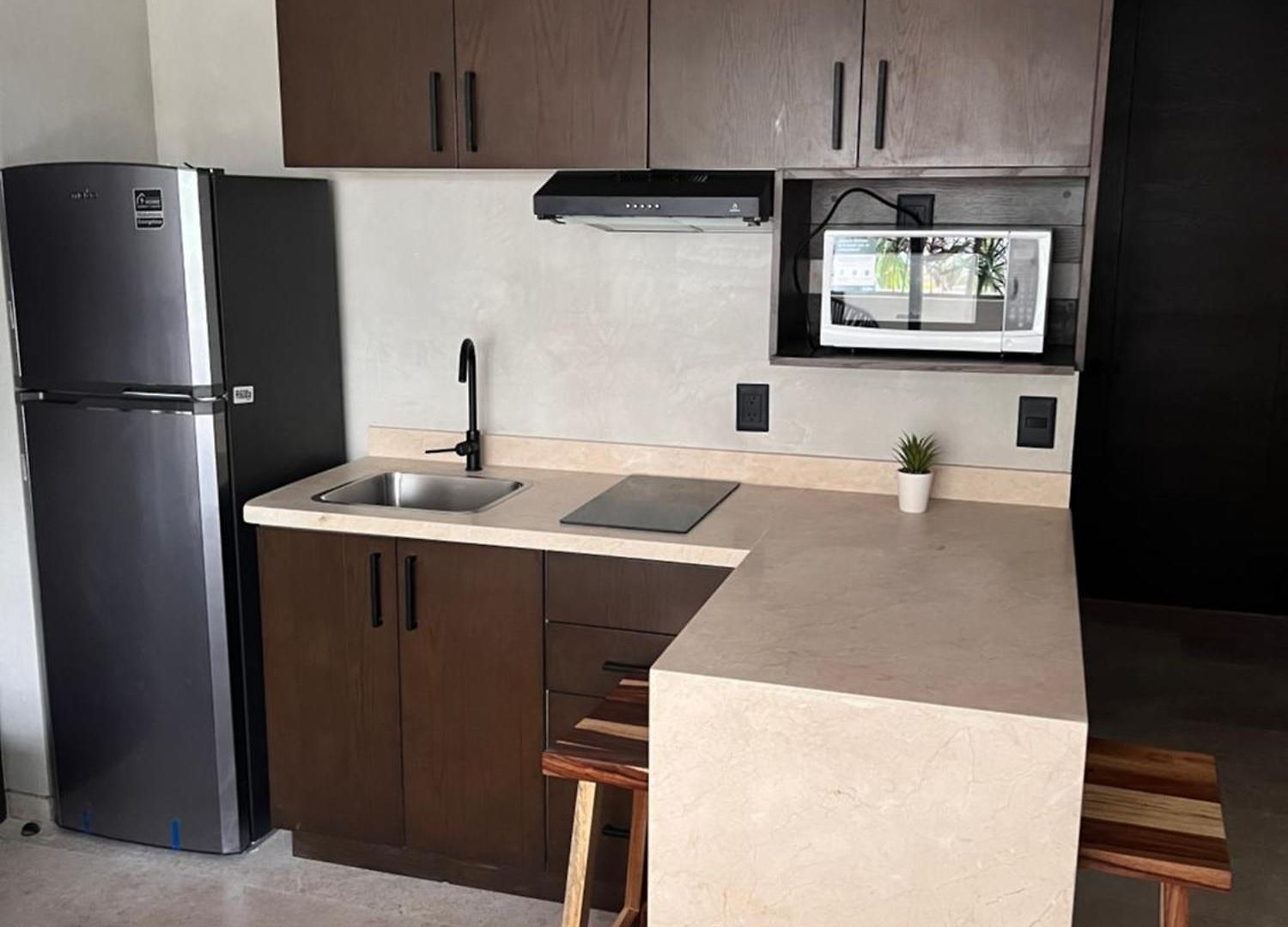 Apartamento Totalmente Equipada En Tulum