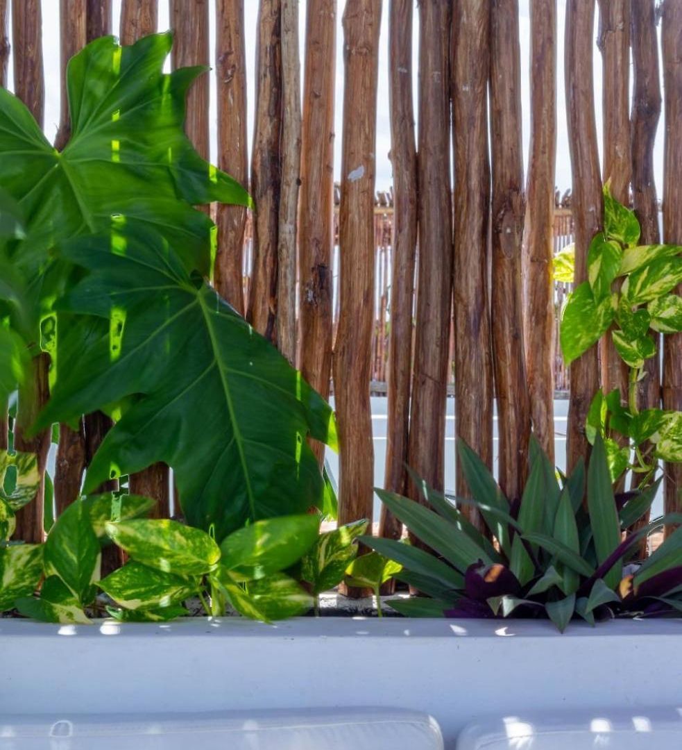Pent House De Lujo Con Roof Privado Rodeado De Naturaleza