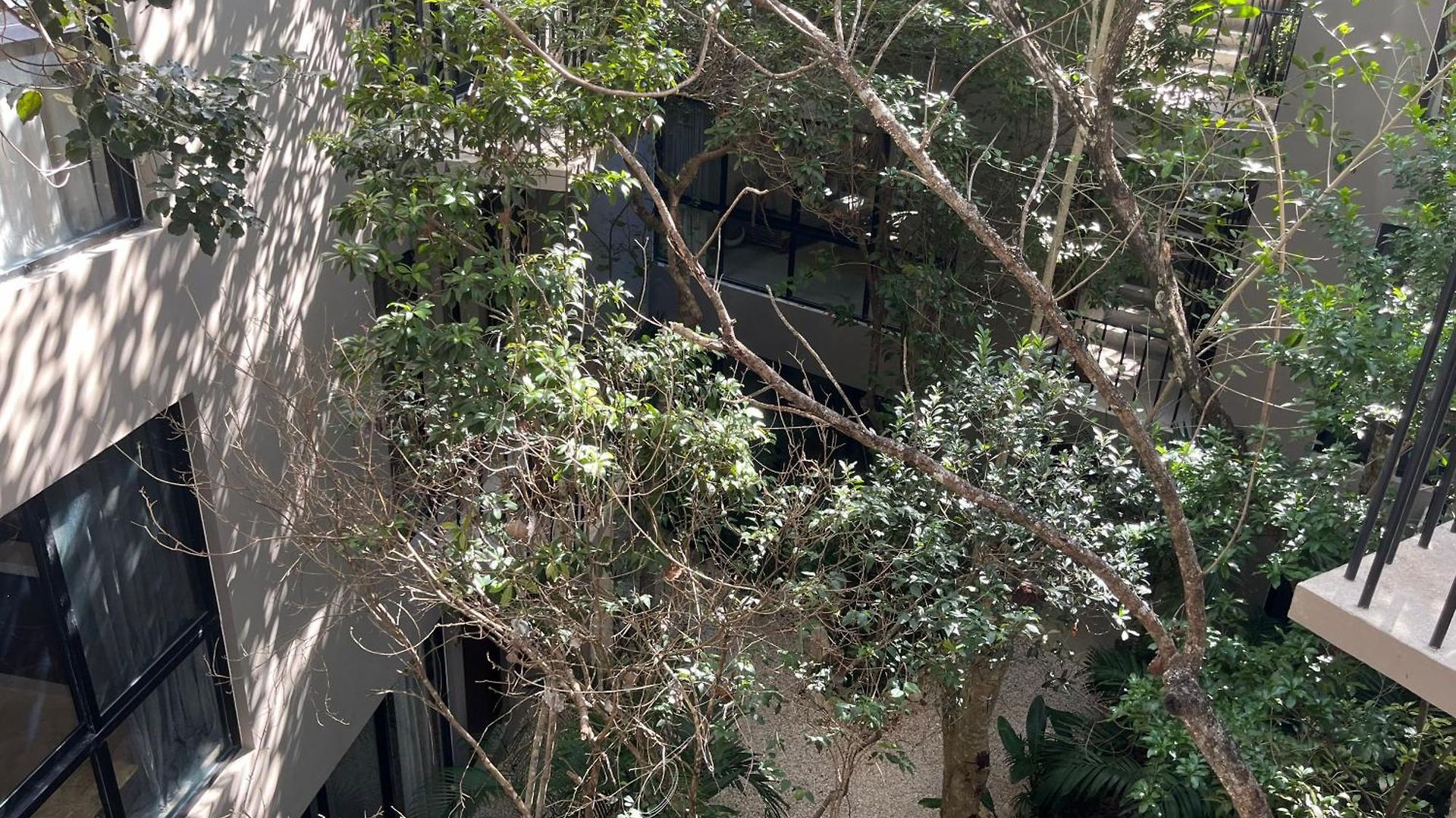 Boho Beautiful Special Fee For Bardo Daypass Apartment Tulum