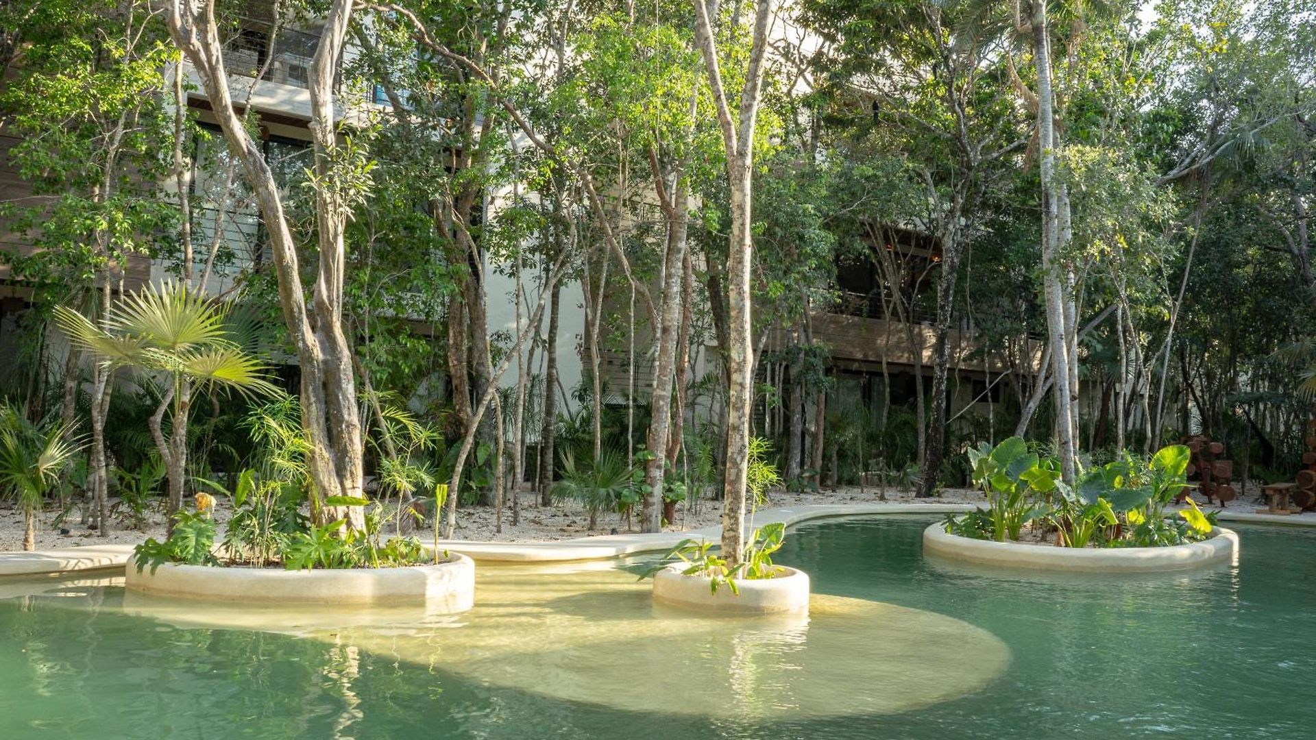 1 Bedroom-tulum-private Pool Apartamento *