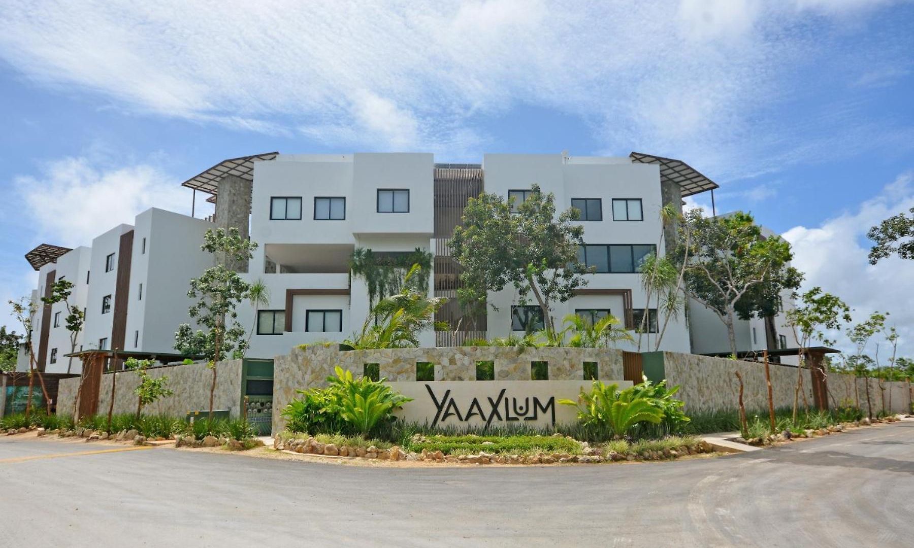 Oasis Yaaxlum *