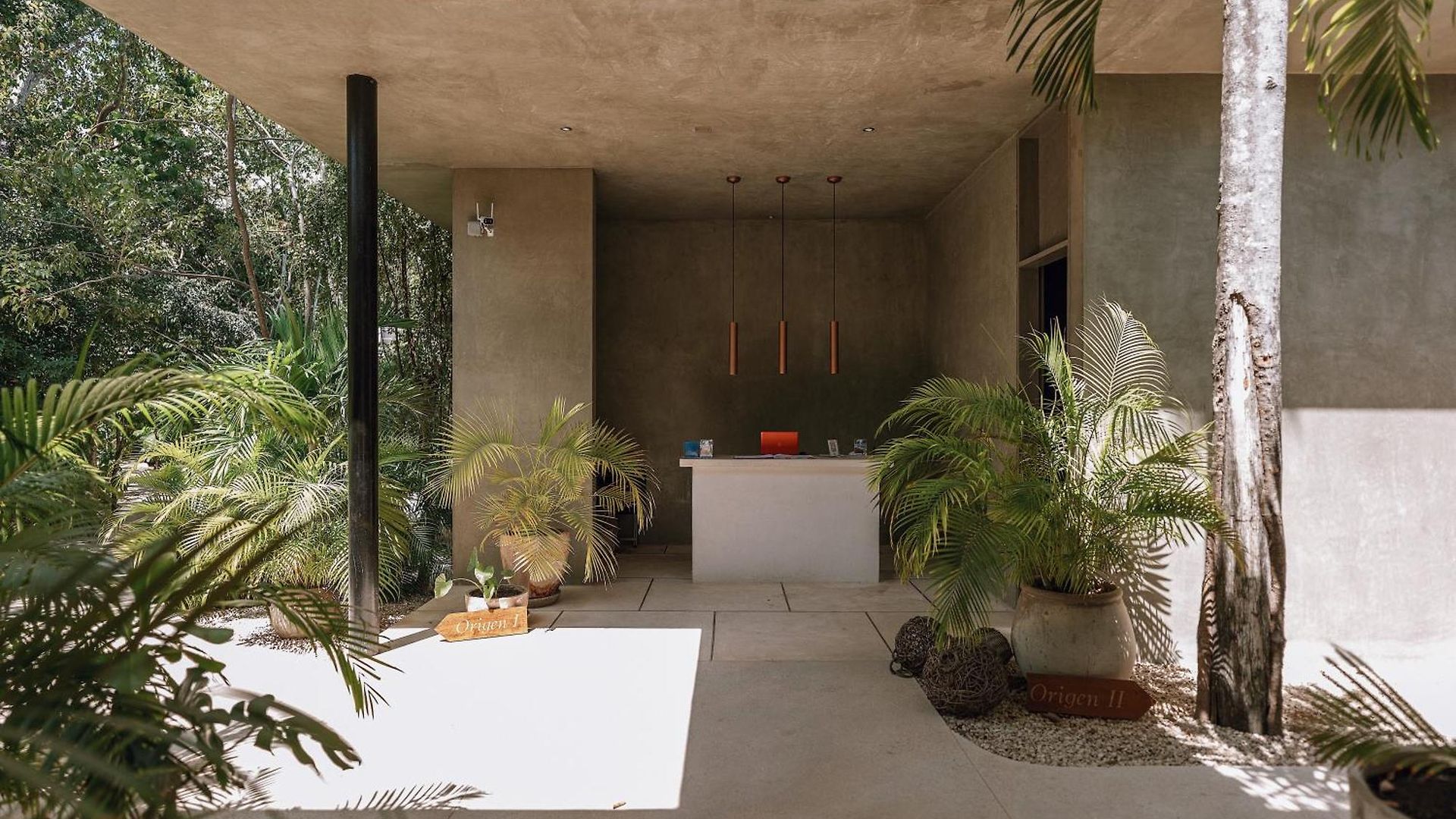 Seremonia By Vida De Playa Tulum