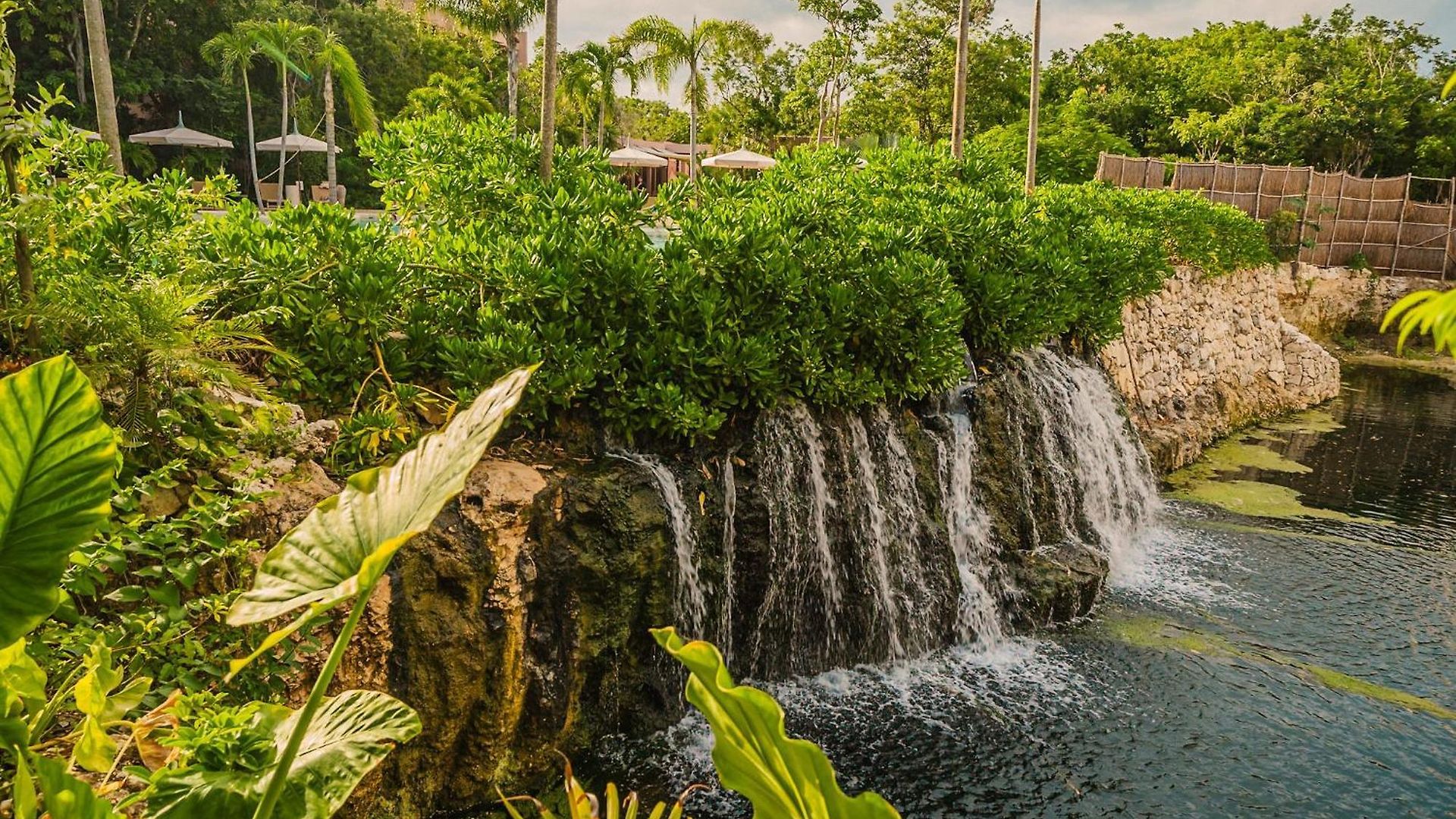 Divine 2br W Pool Gym Yoga Classes Restaurant Apartamento Tulum