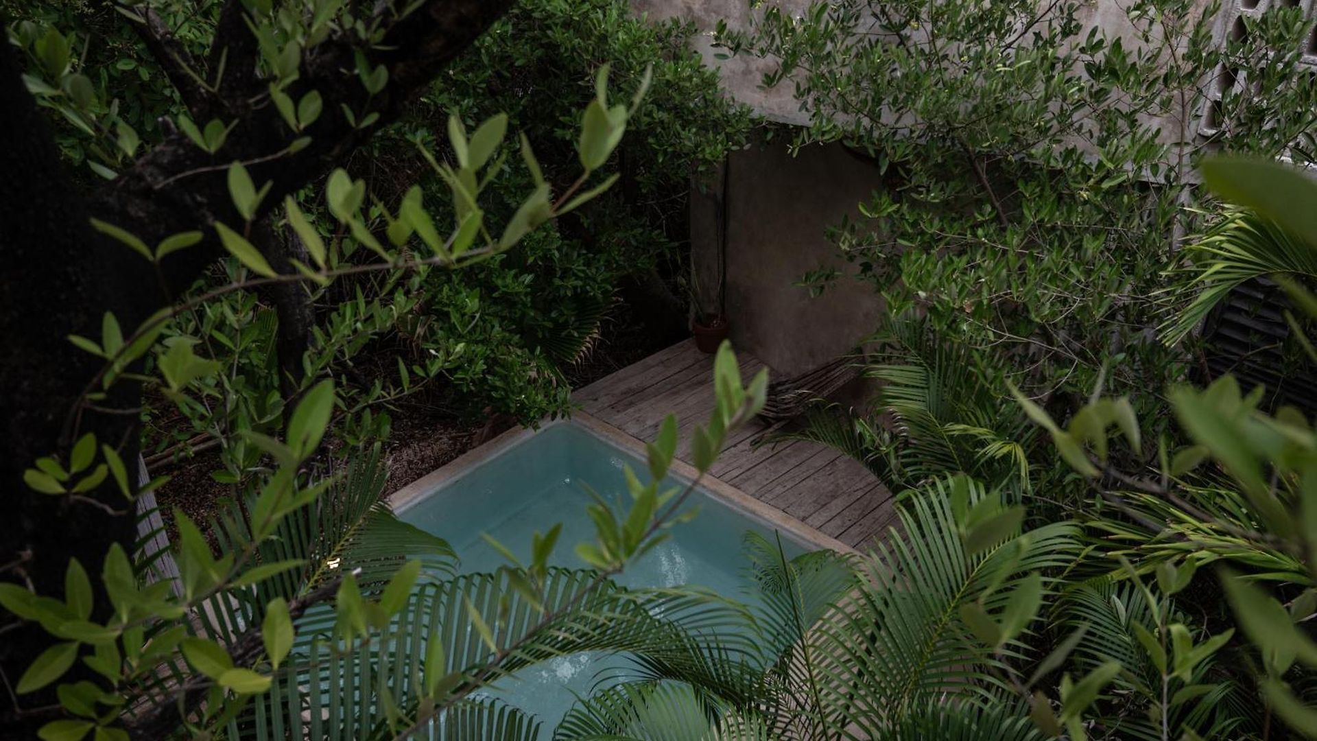 Hotel Casa Coyote Tulum