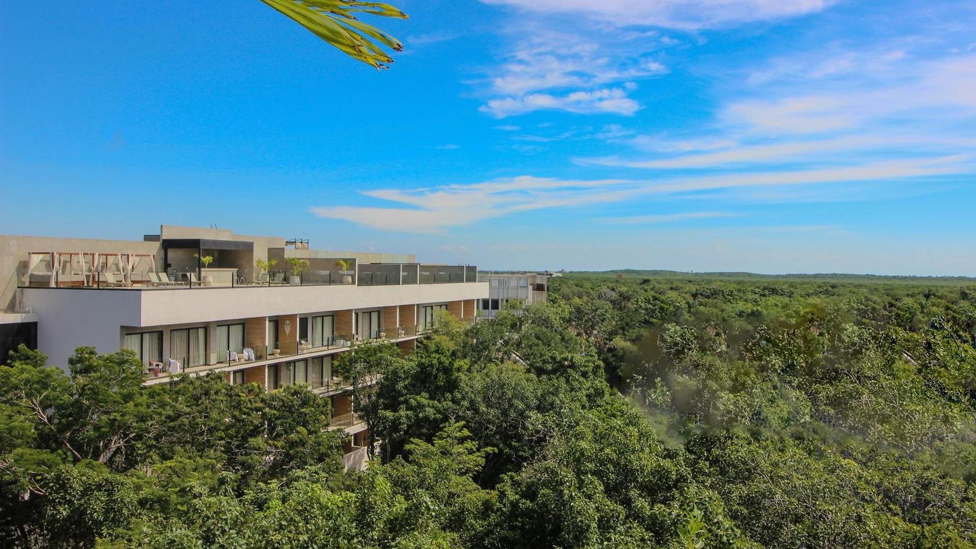 Luxury With Rooftop Pool, Gym, Padel Court, Art Installations