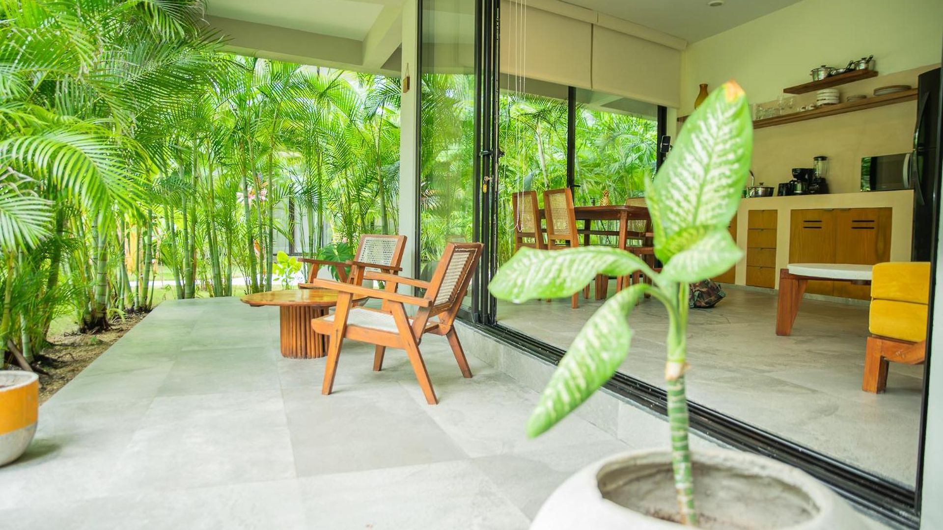 Aparthotel Xp By Dream Vacay