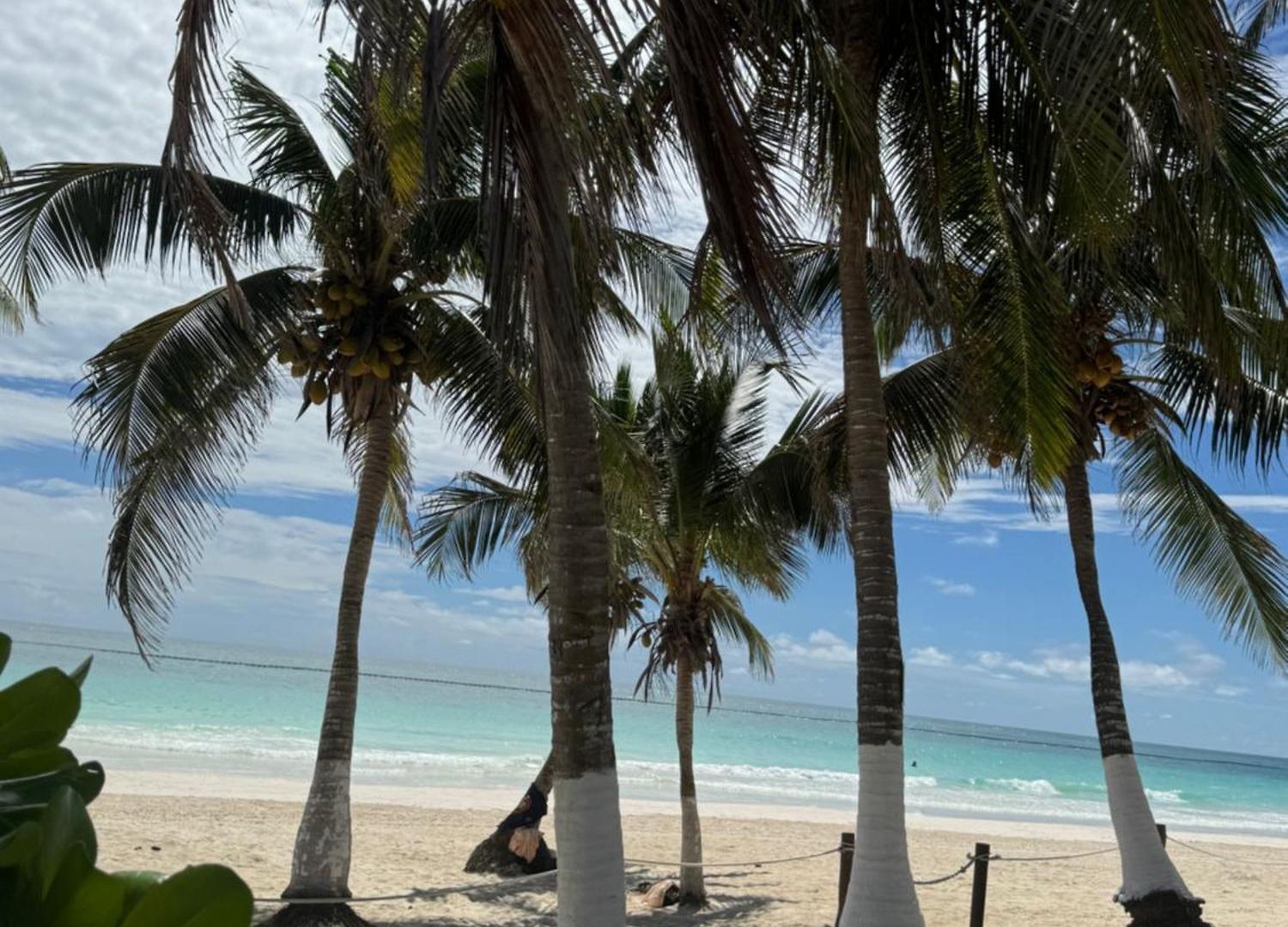 El Paraiso