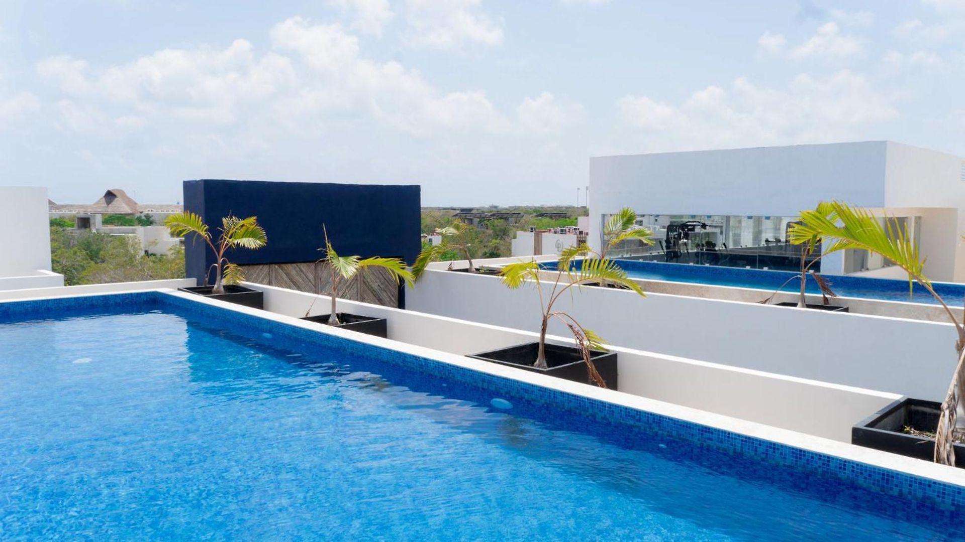 Bright 1 Bd With Balcony * Tulum