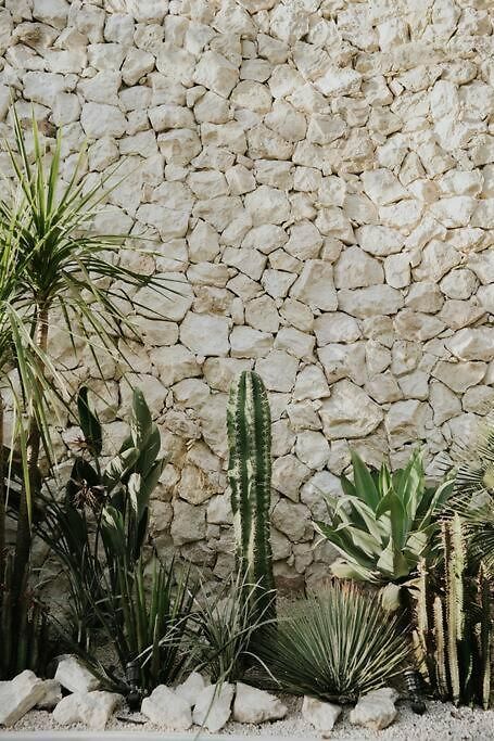 Design Casa Sandalo With Private Pool And Lounge Apartment Tulum