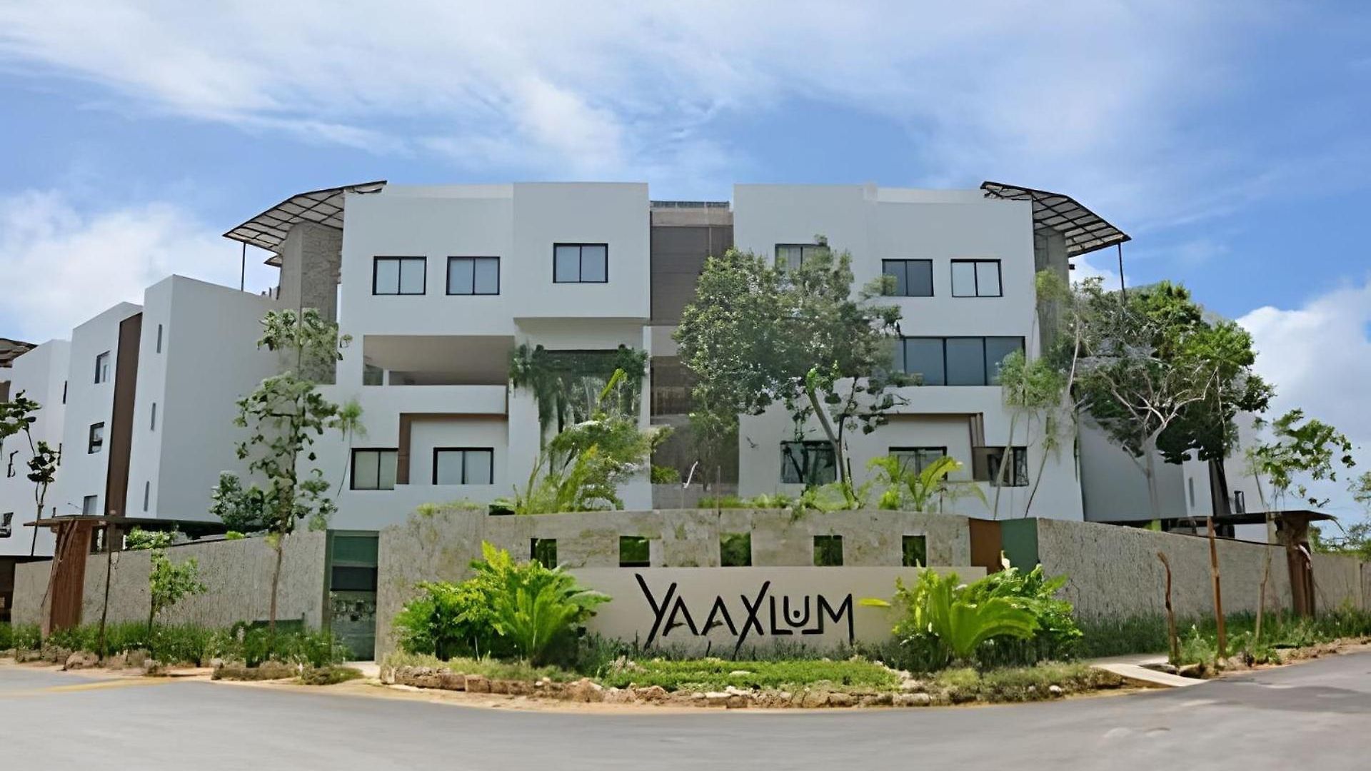 Oasis Yaaxlum Tulum