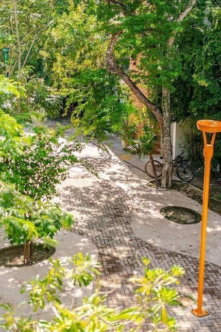 Unwind At Magdalena, Private With 3 Bedrooms, Rooftop Pool And Fast Wi-fi For Digital Nomads * Tulum