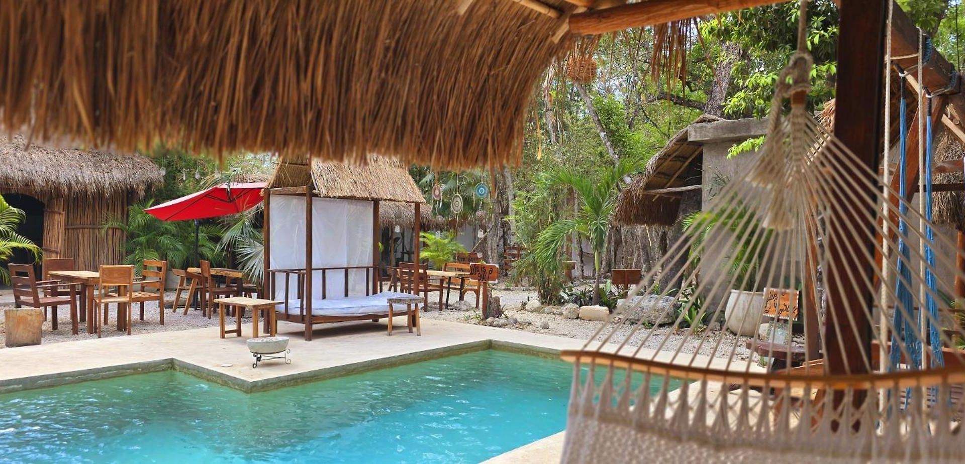 Kin Jungle Deluxe Pensión