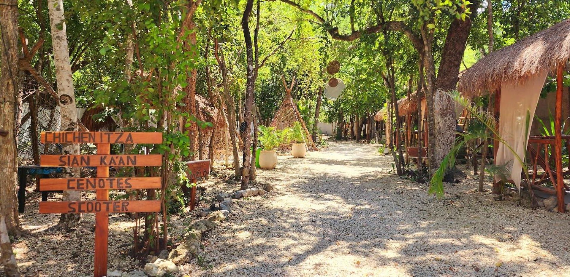 Kin Jungle Deluxe Pensión 4*