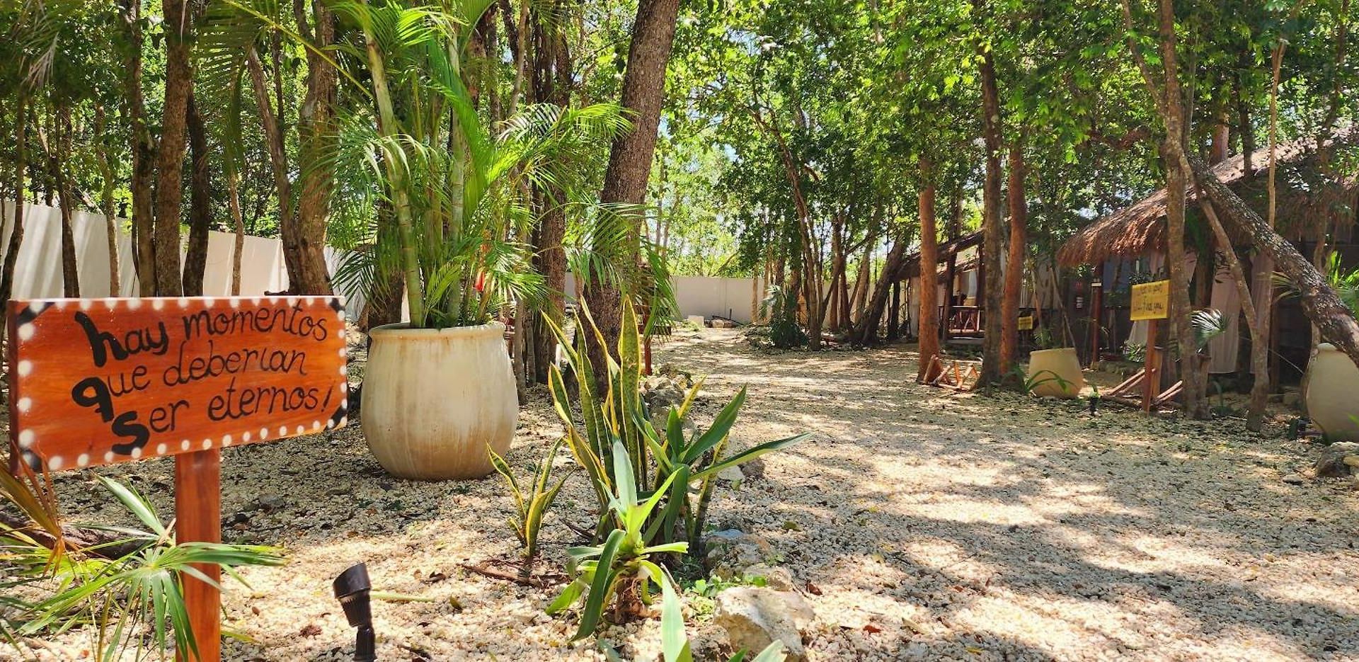 Kin Jungle Deluxe Pensión Tulum