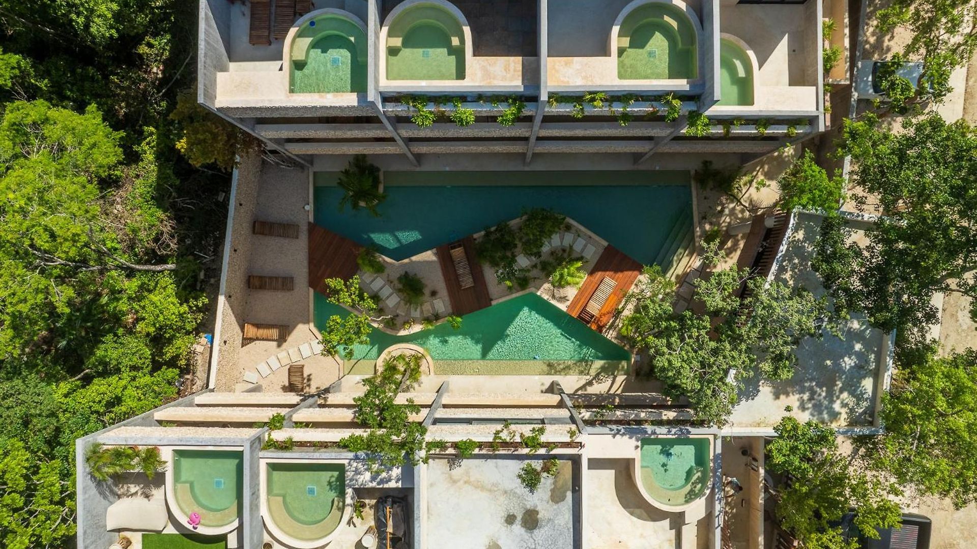 *jungle Ph W/pool, Close To Downtown & *
