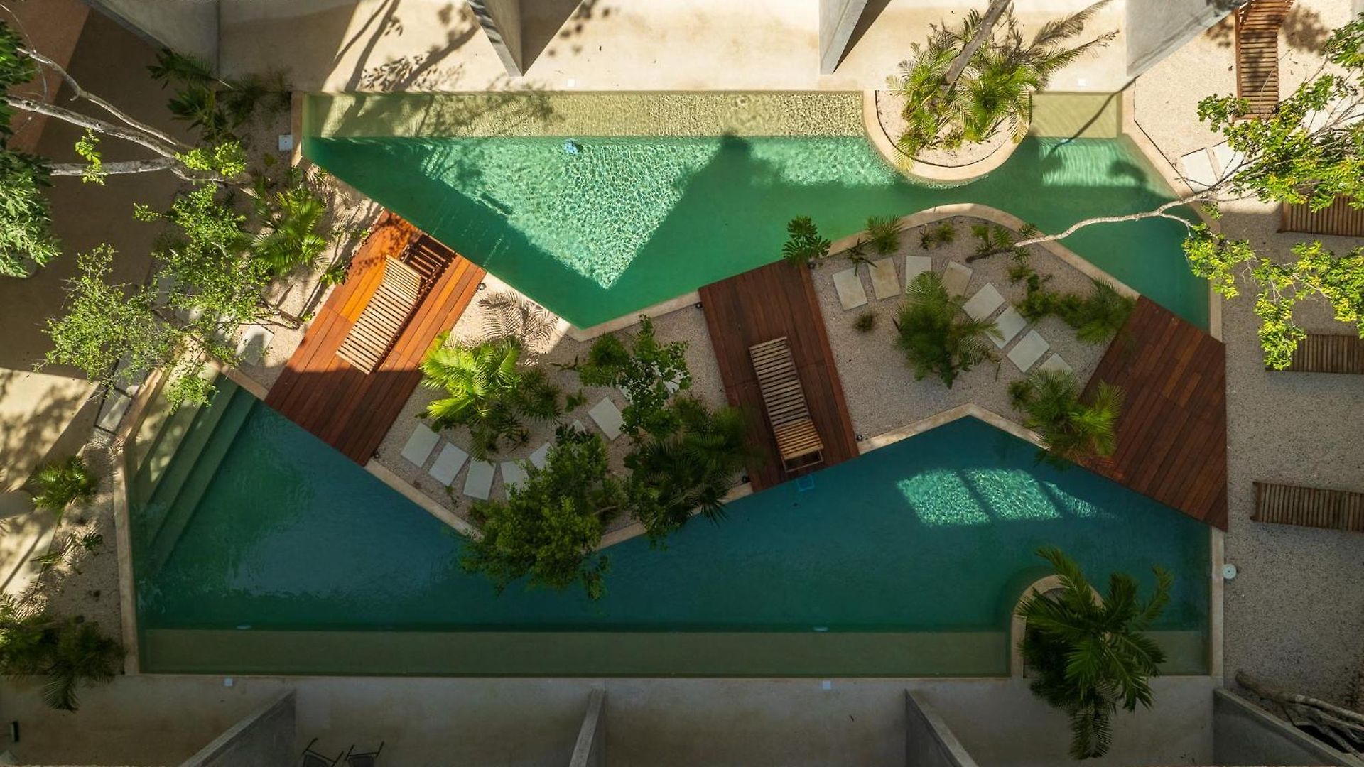 *jungle Ph W/pool, Close To Downtown & Tulum