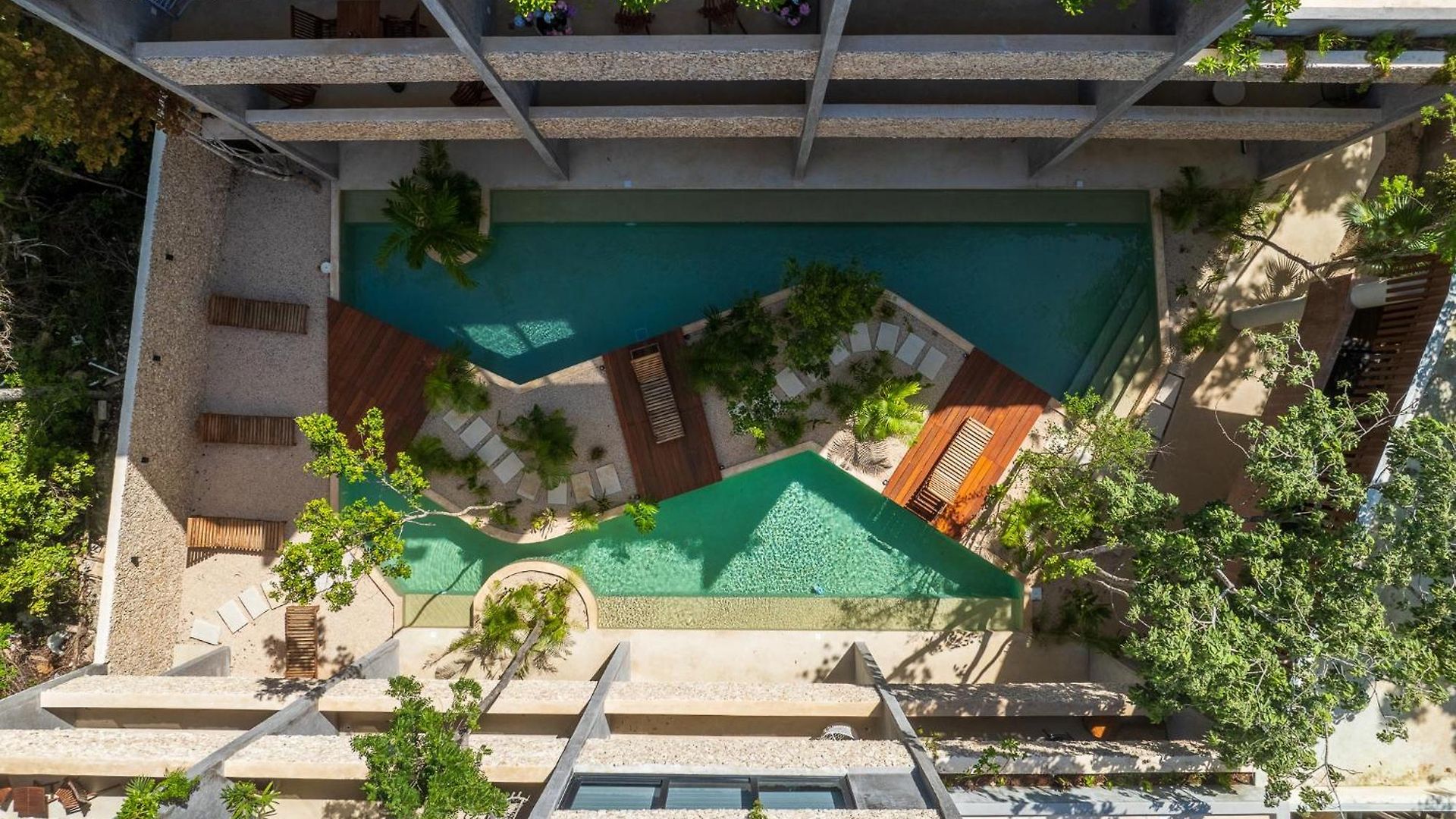 *jungle Ph W/pool, Close To Downtown & Tulum