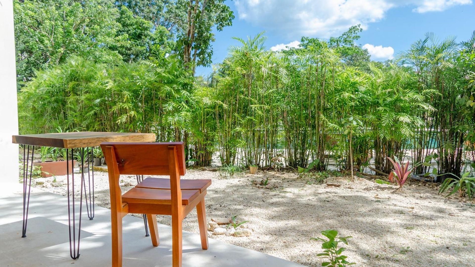 Selva Norte Tulum