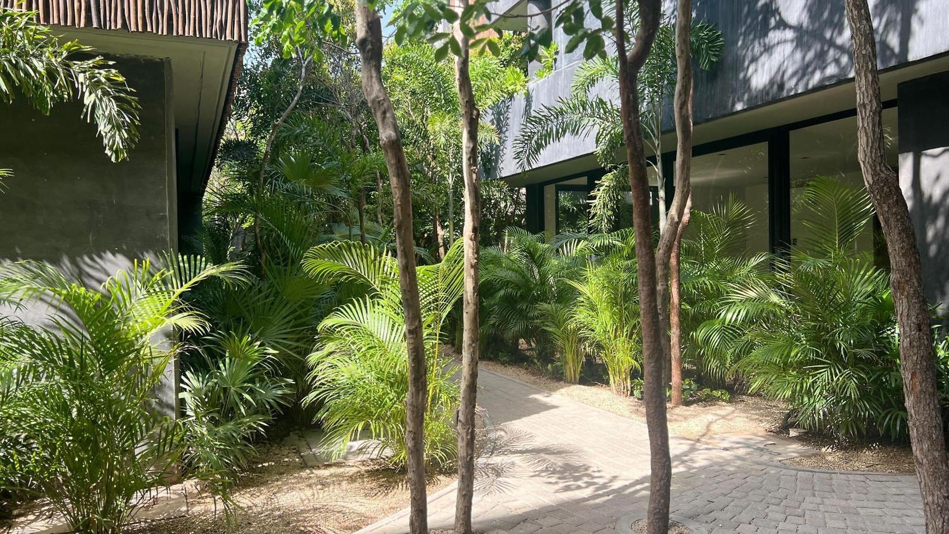 Humana In Apartment Tulum
