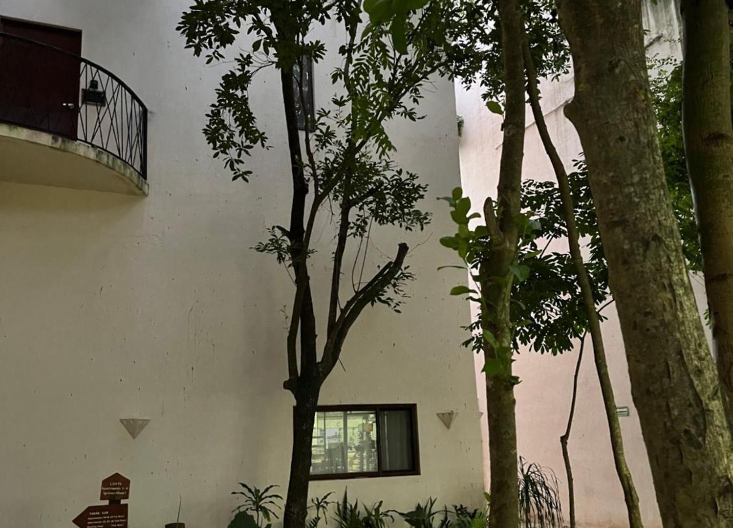 Apartment Centrico Y Espacioso *