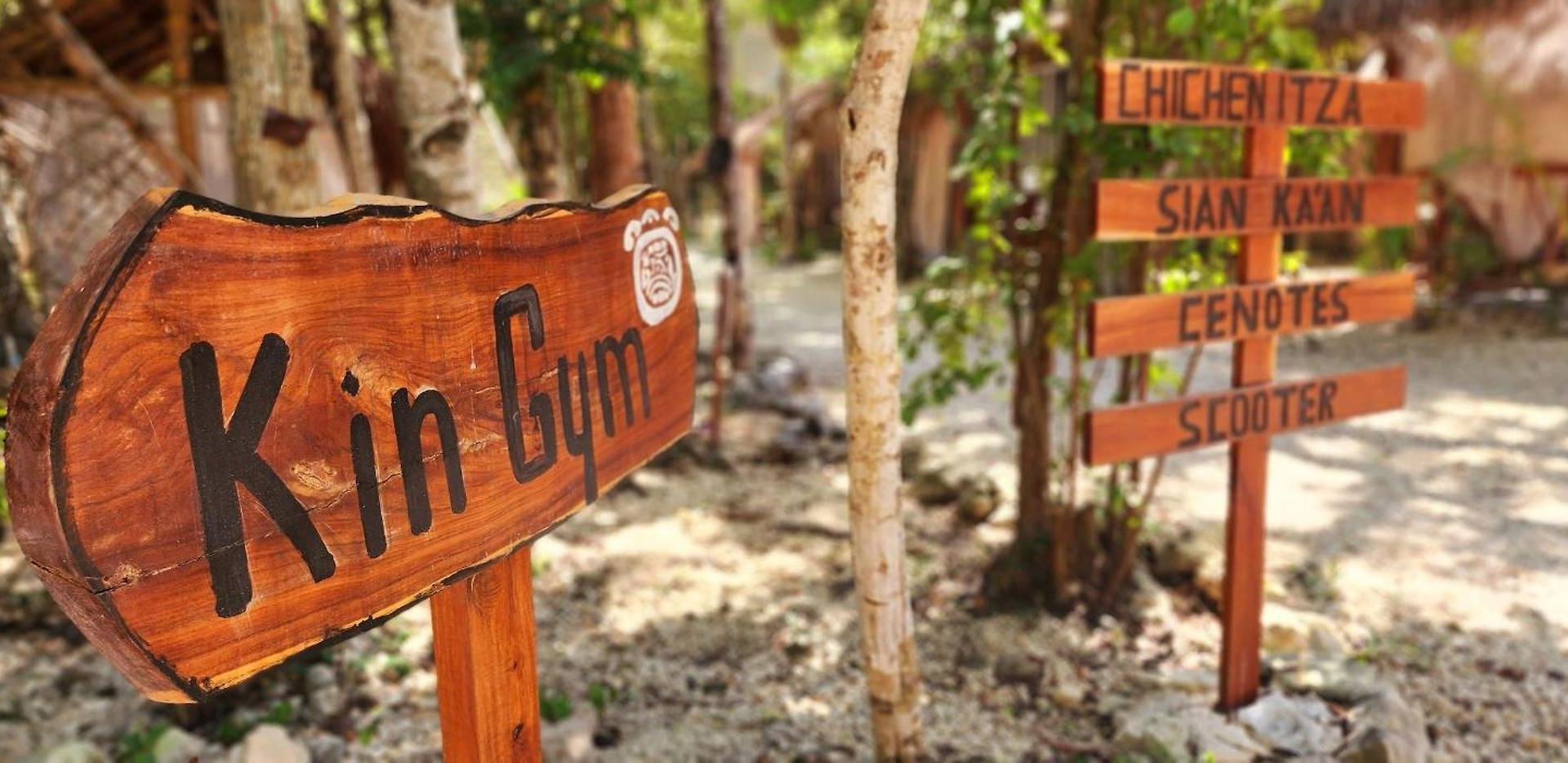 Kin Jungle Deluxe Pensión