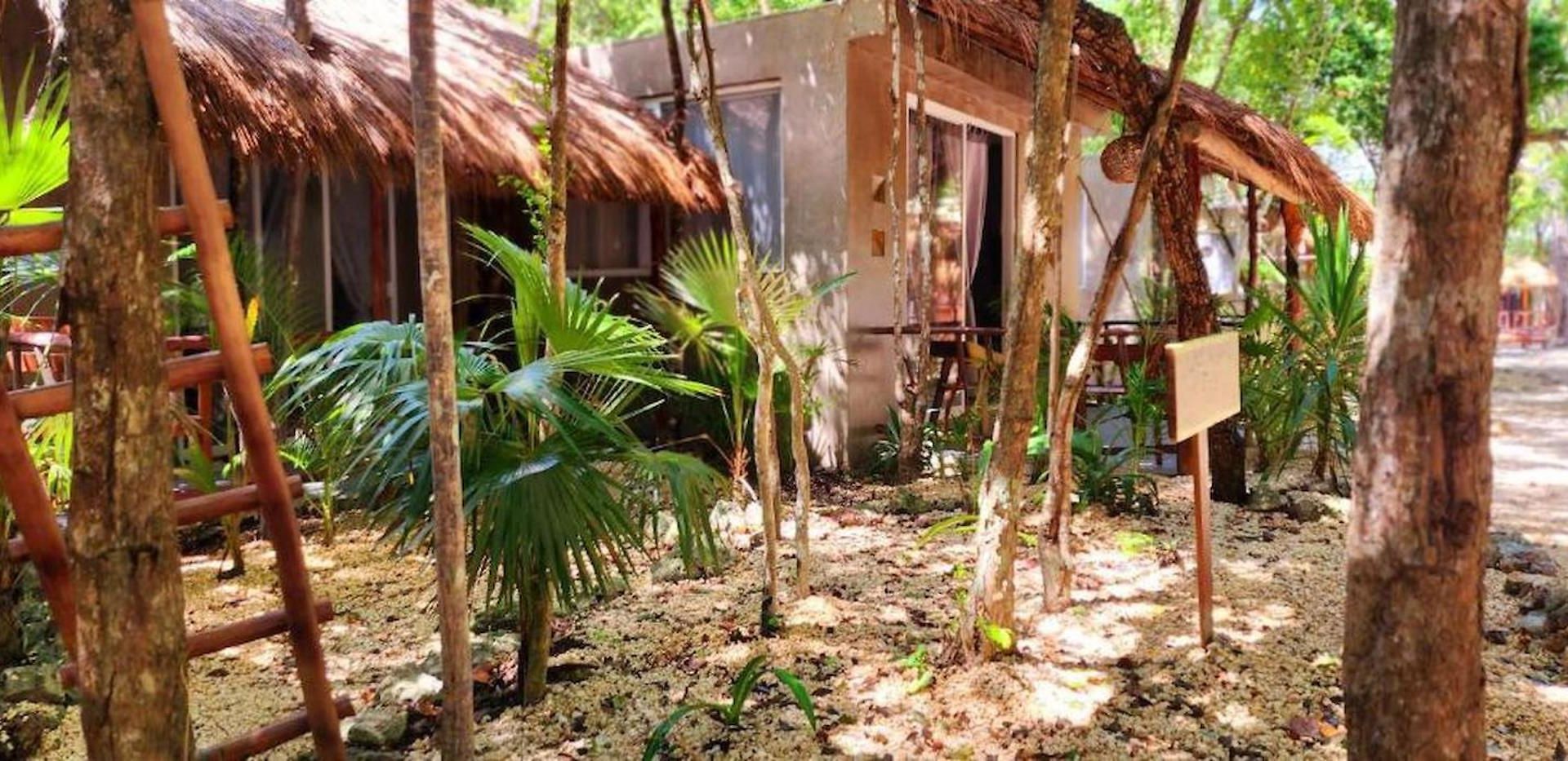 Kin Jungle Deluxe