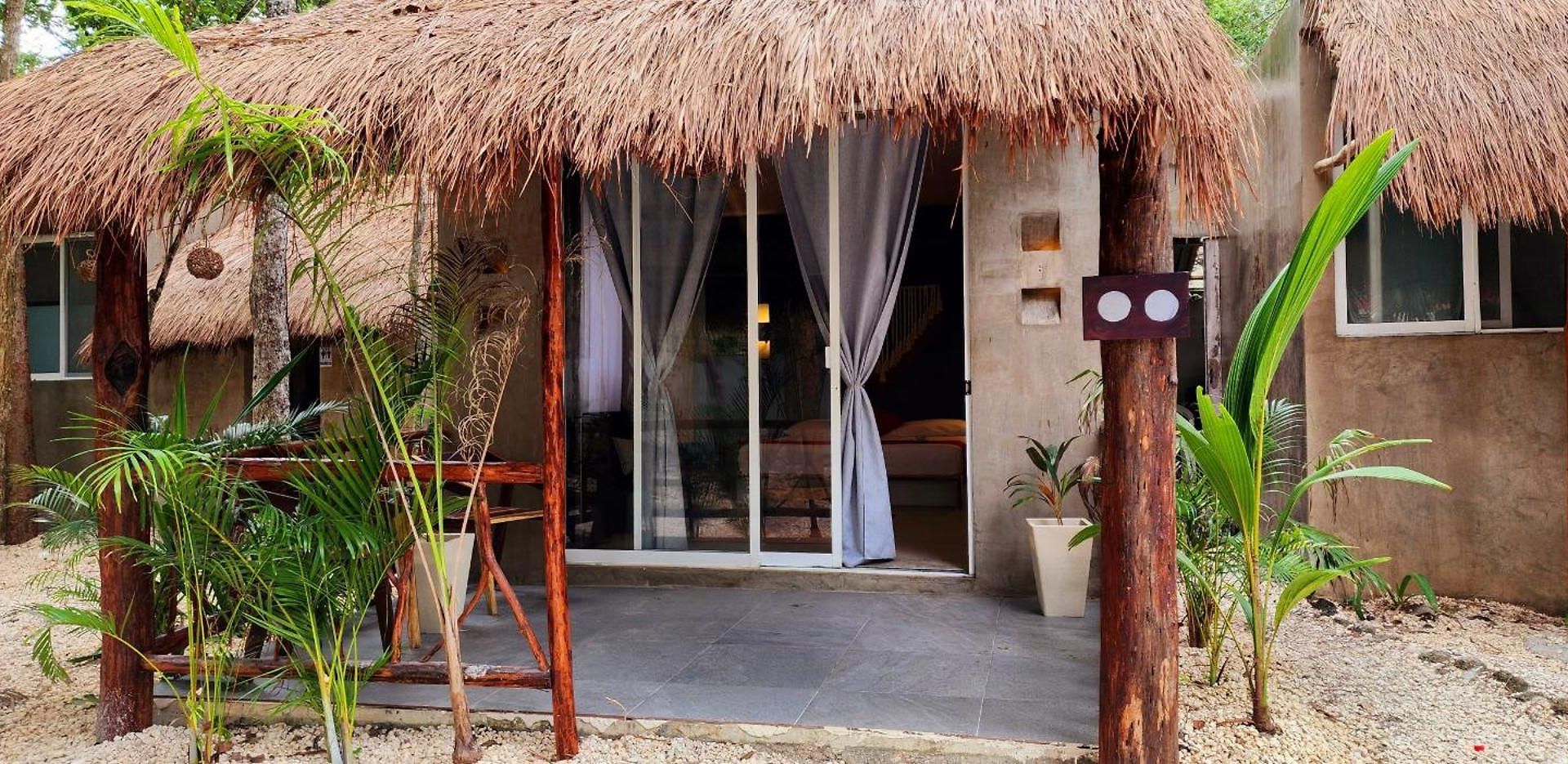 Kin Jungle Deluxe Pensión