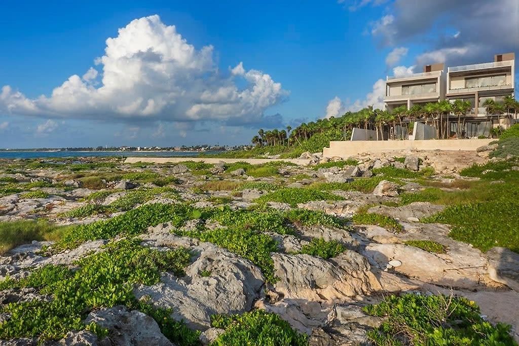 Villa Oceanview 4br Concierge Service Tulum