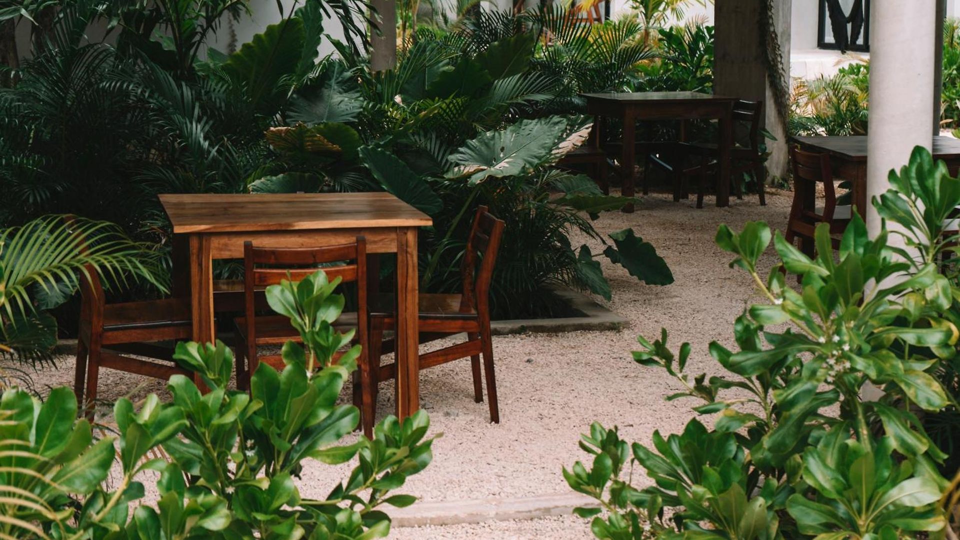 Apartment Seremonia Selva By Dream Vacay Tulum