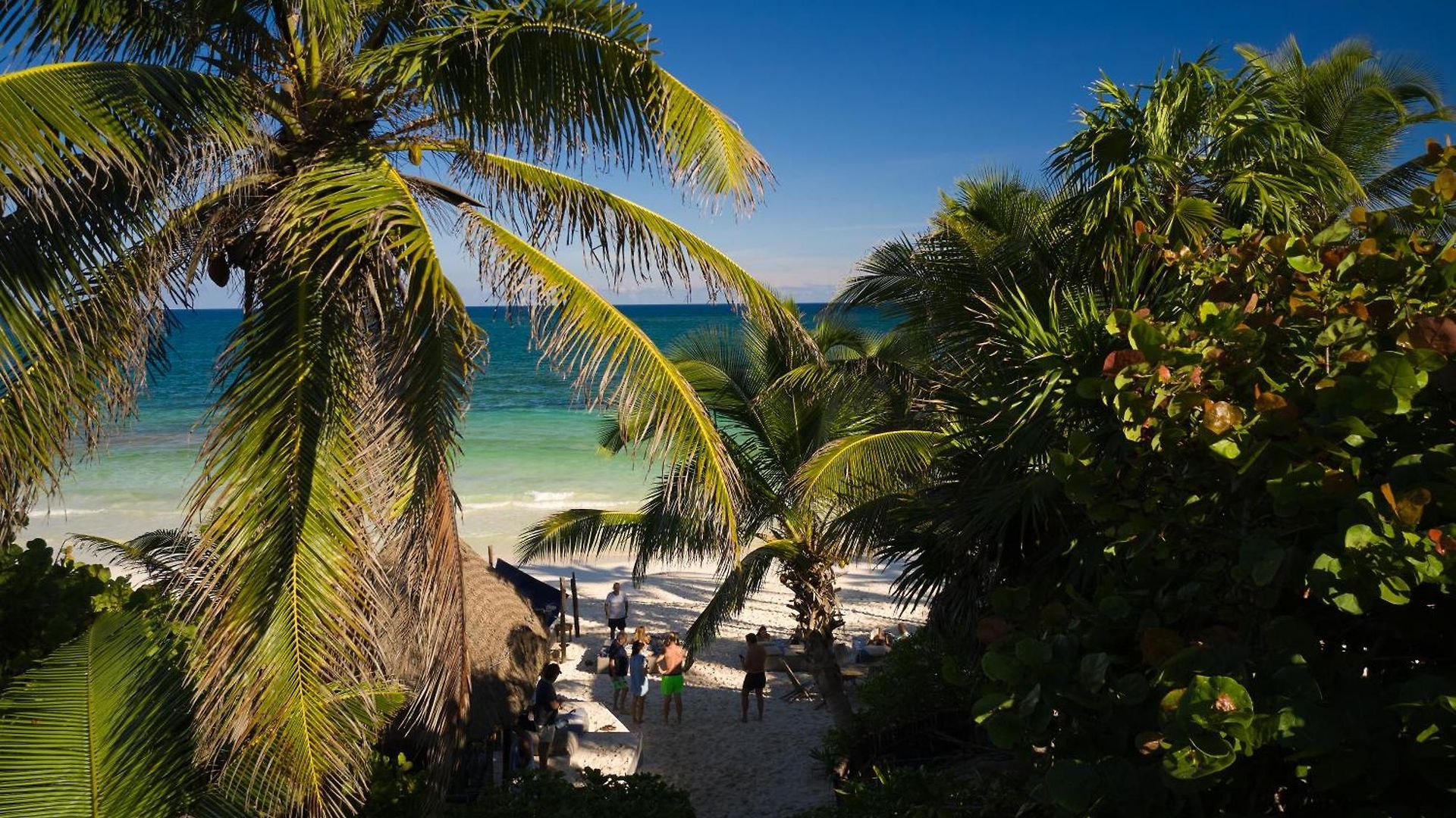 Hotel Libelula Beachfront