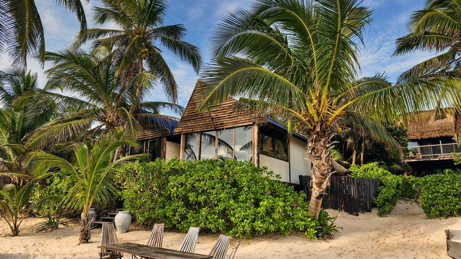 Libelula Beachfront