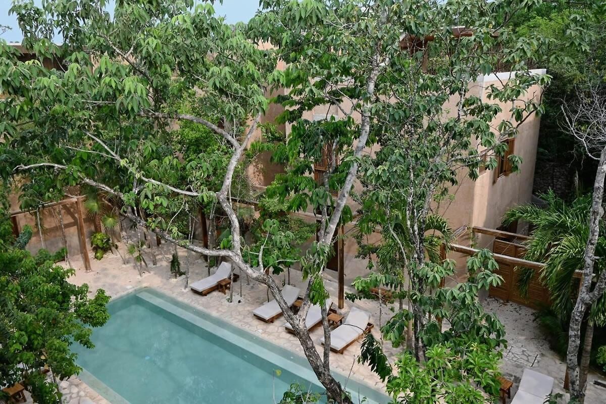 Holiday home Stylish 3br With Rooftop Plunge Pool, La Veleta Tulum