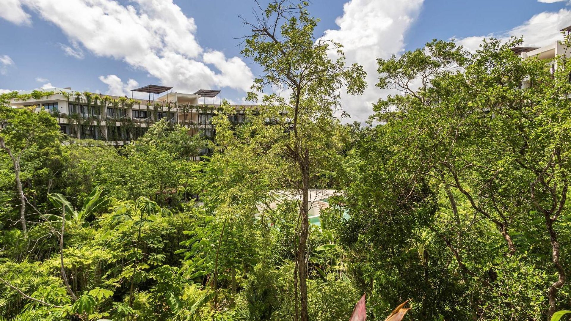 Apartment Cozy In The Jungle, Balcony And Pool View *