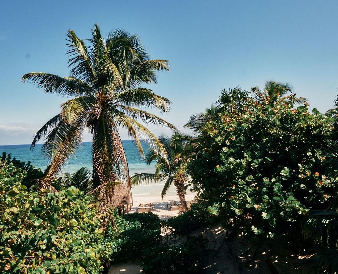 Libelula Beachfront 4* Tulum