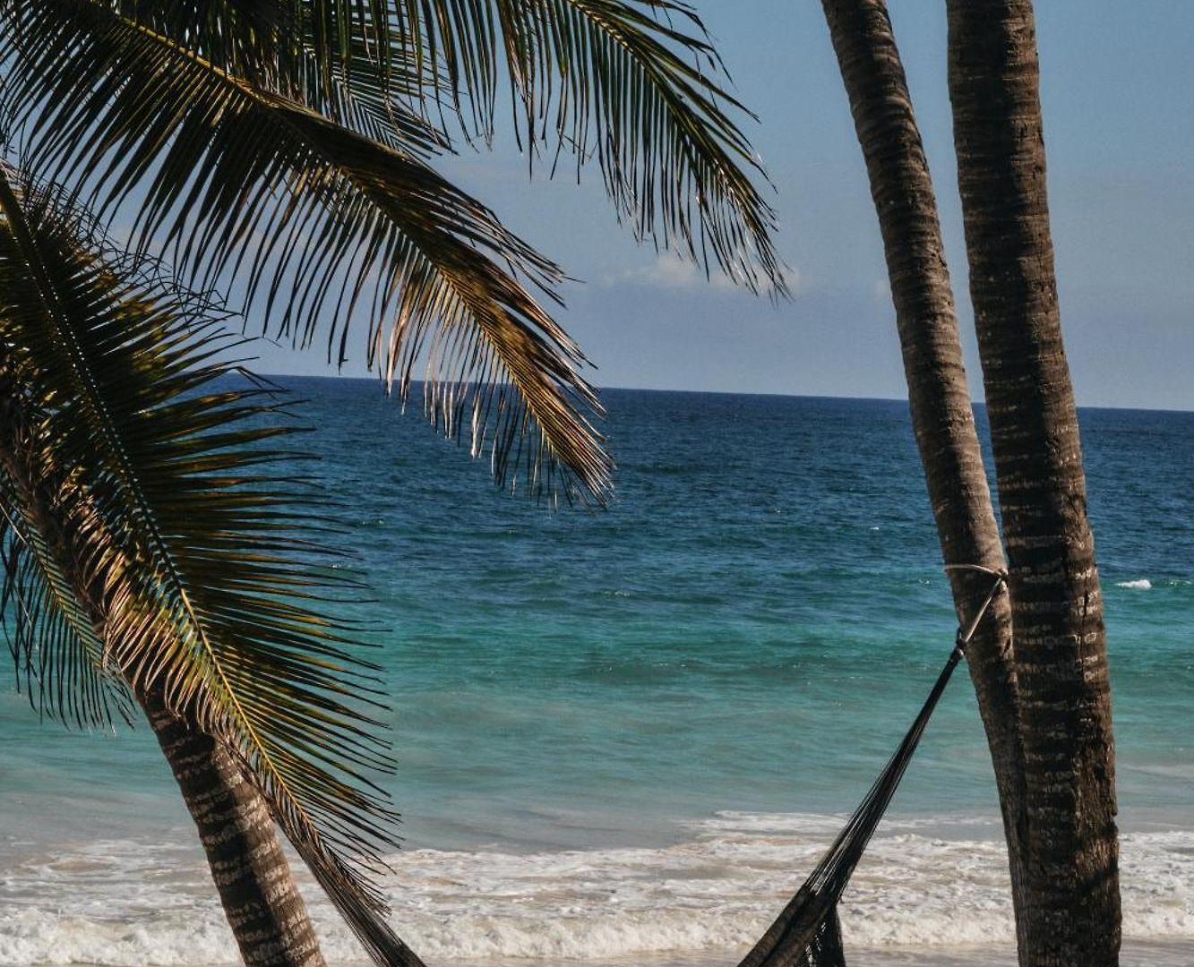 Libelula Beachfront Hotel 4*