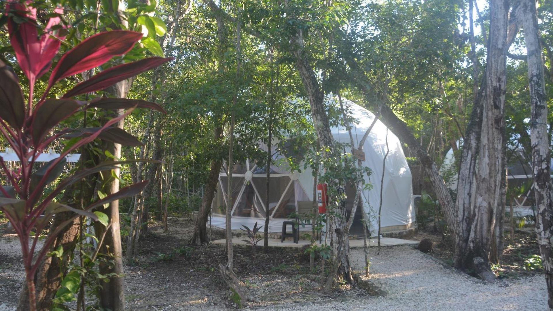 Glamping Mayan Glam Tulum