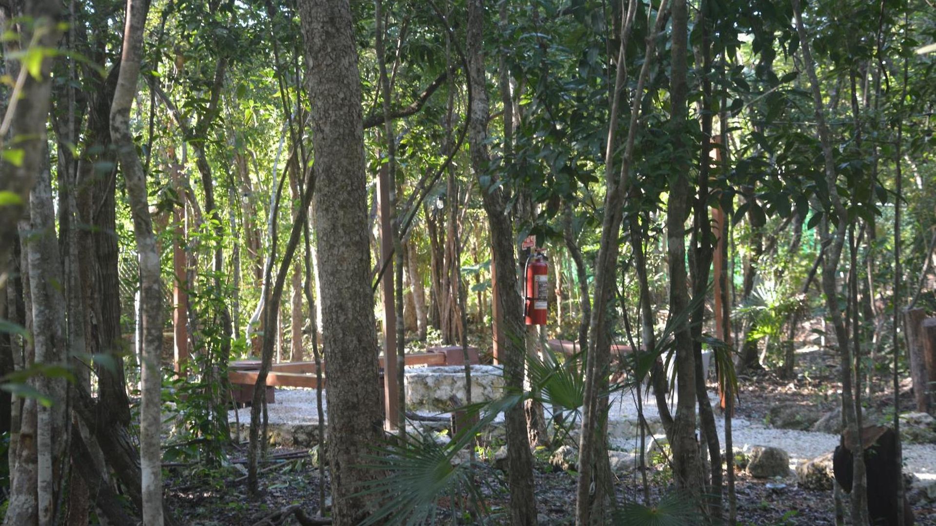 Glamping Mayan Glam *