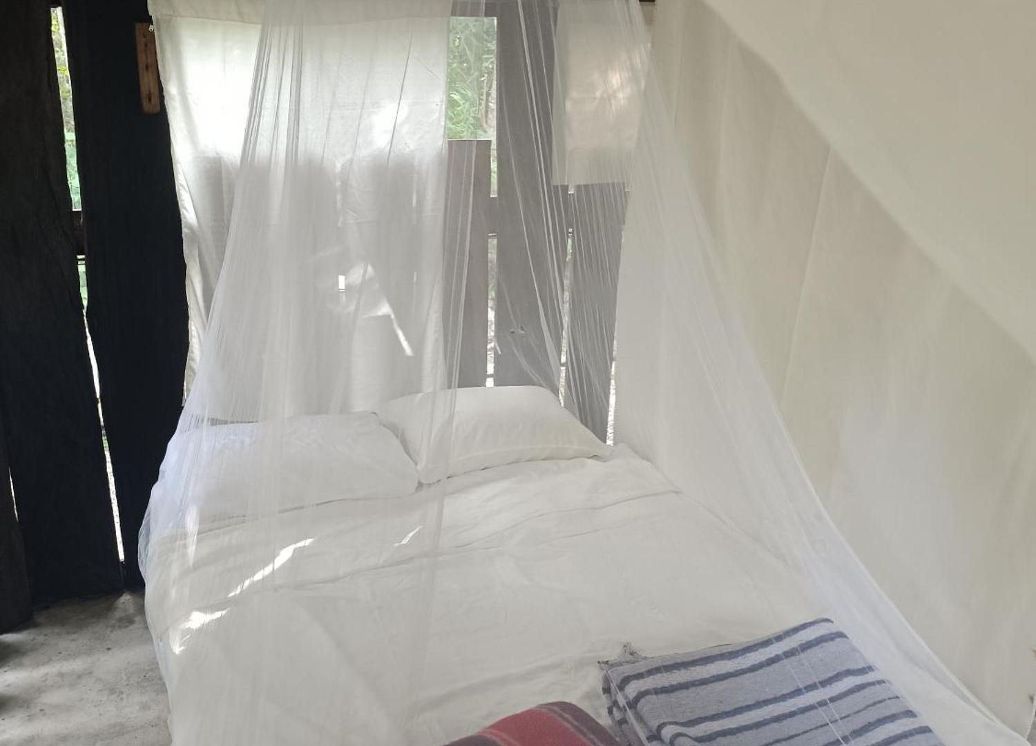 Zapote En Rancho Jaguares Jungle Retreat Camping