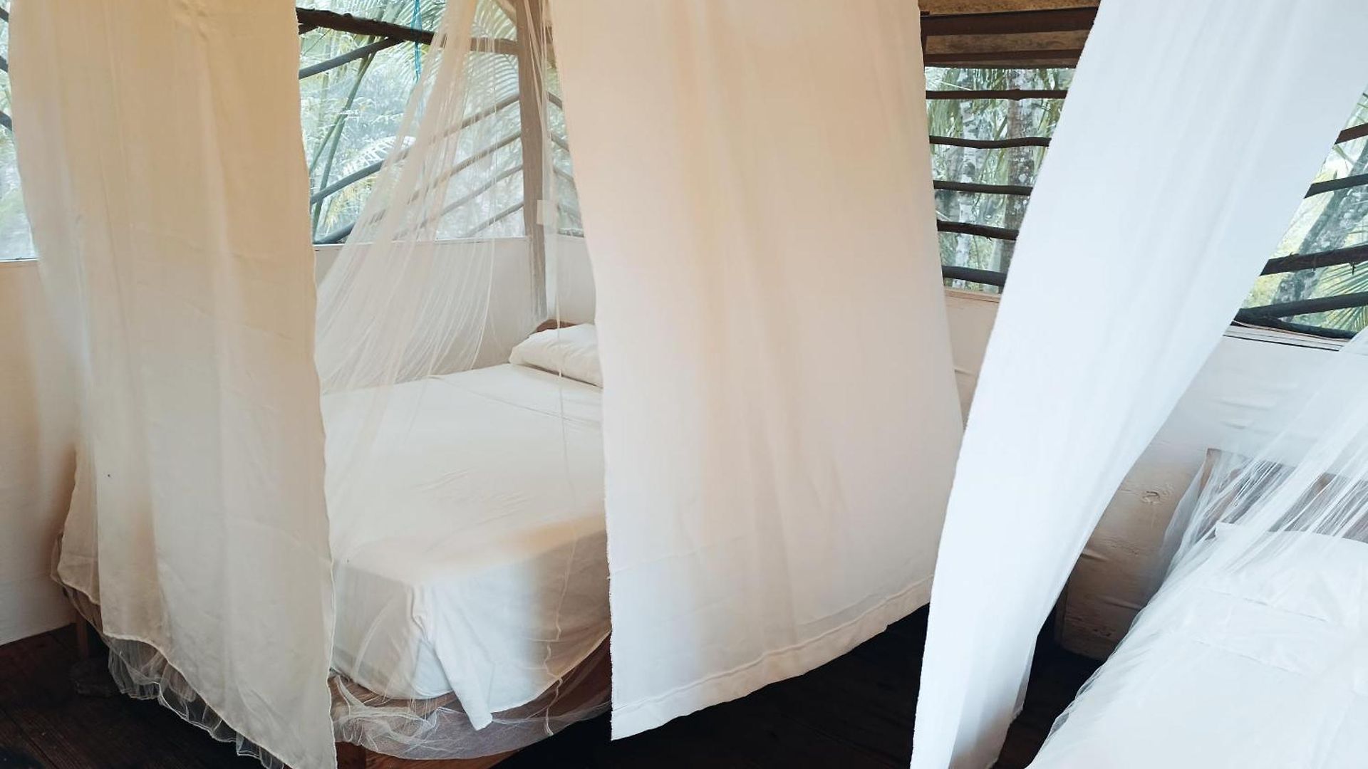 Camping Zapote En Rancho Jaguares Jungle Retreat *