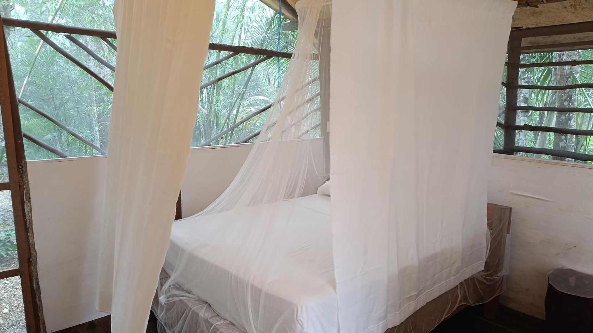 Camping Zapote En Rancho Jaguares Jungle Retreat Tulum