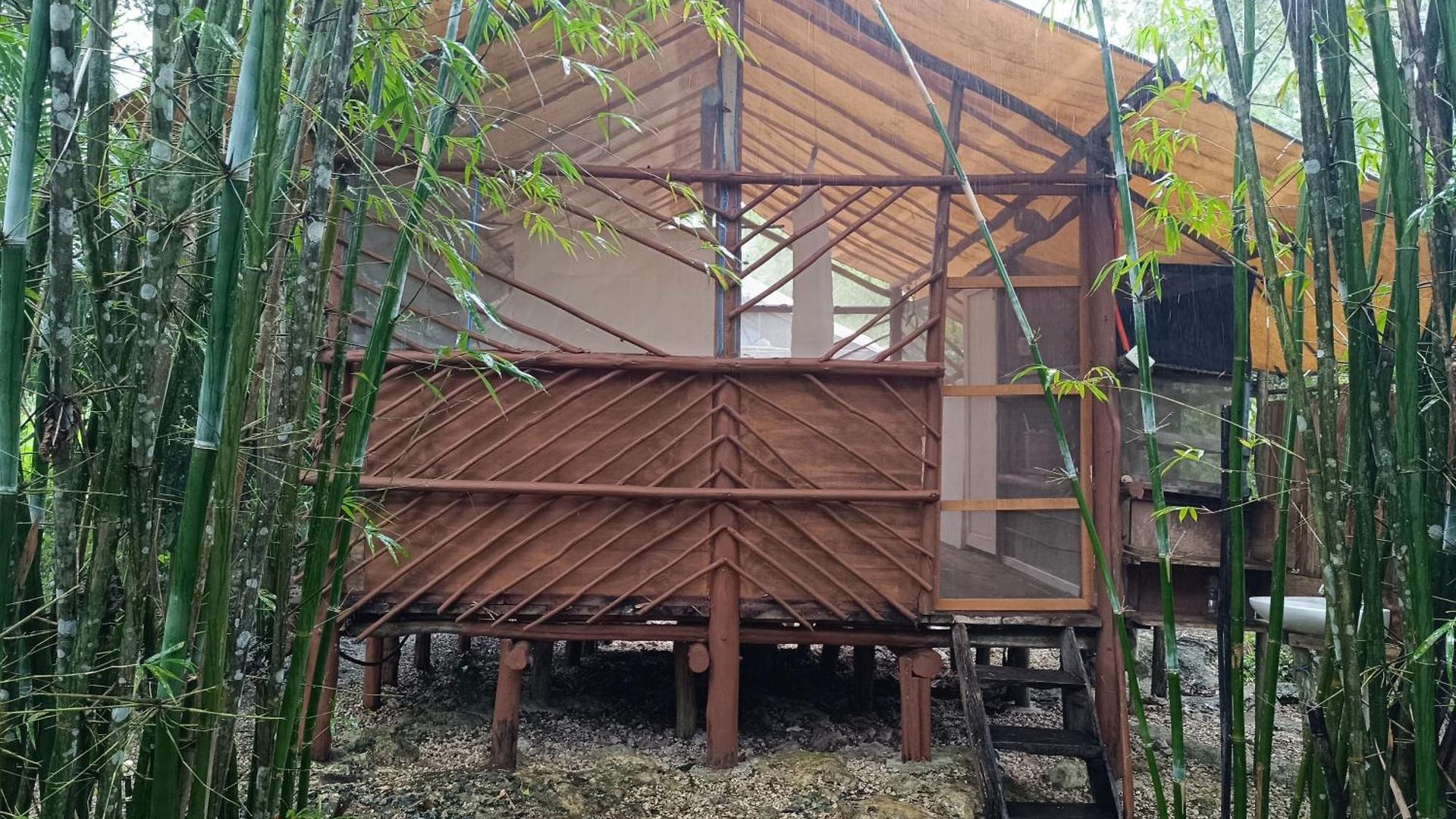 Camping Zapote En Rancho Jaguares Jungle Retreat *