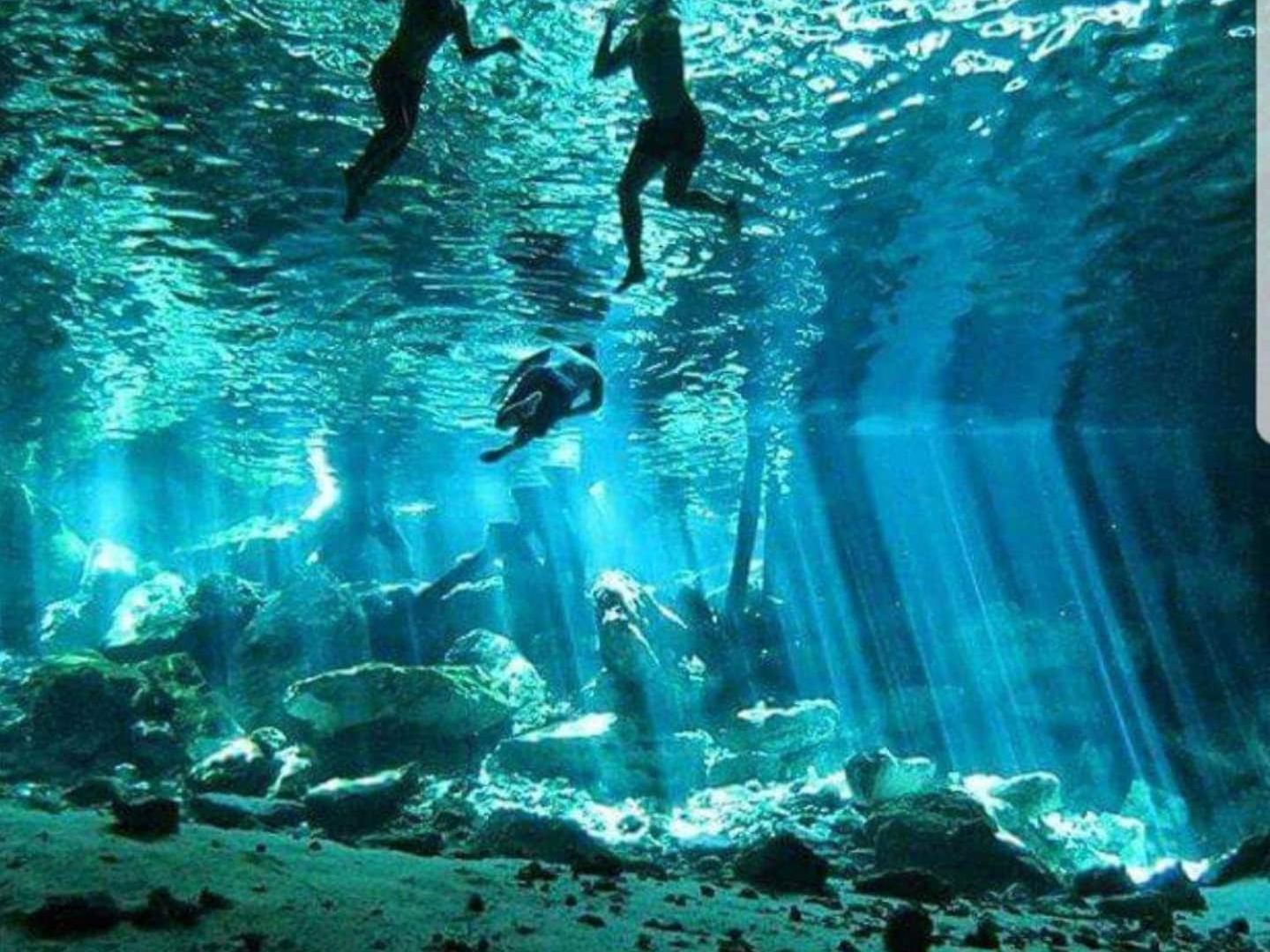 Сasa de vacaciones Loft In Cenotes Natural Park