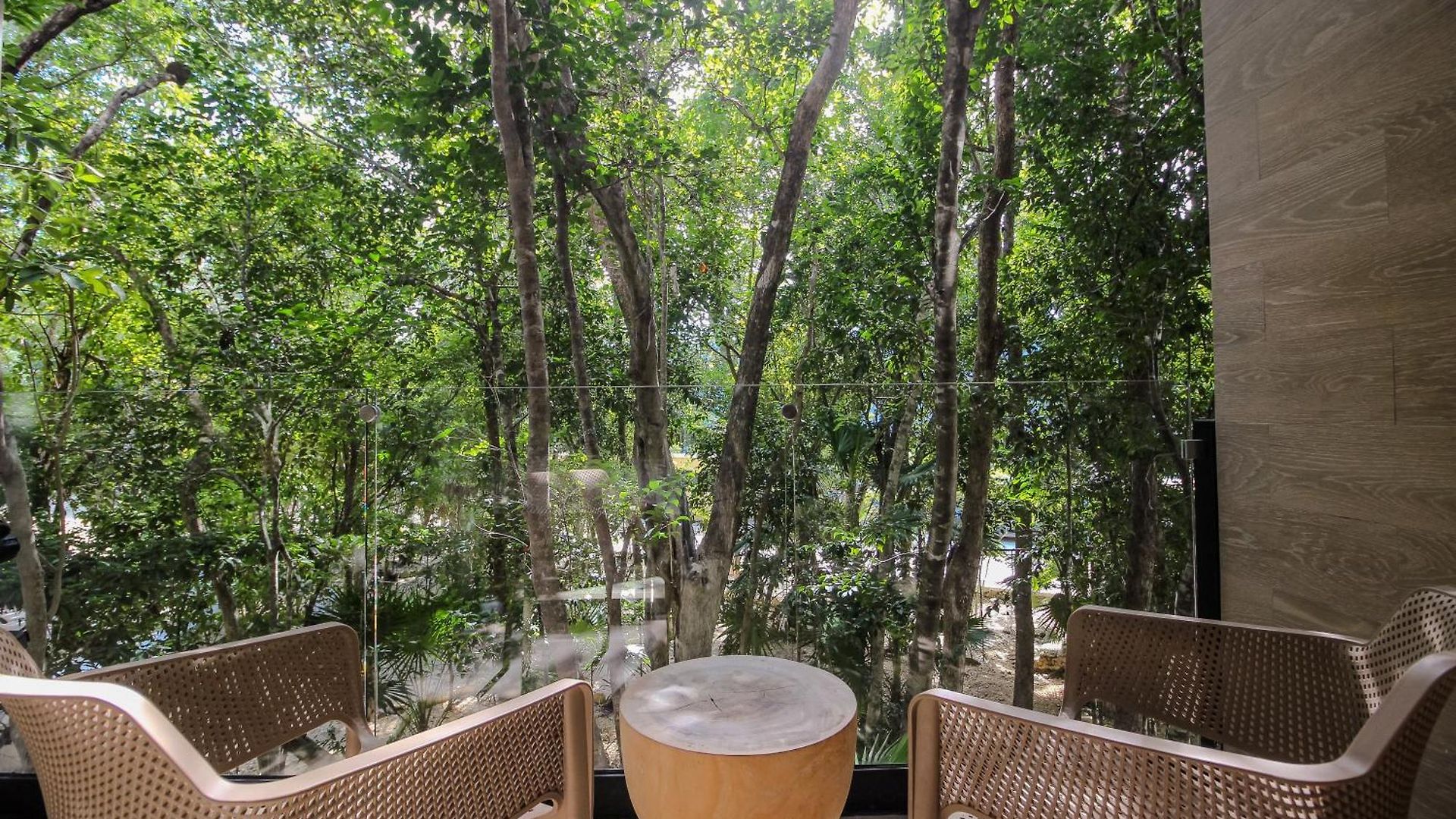 Luxury With Rooftop Pool In Location Tulum